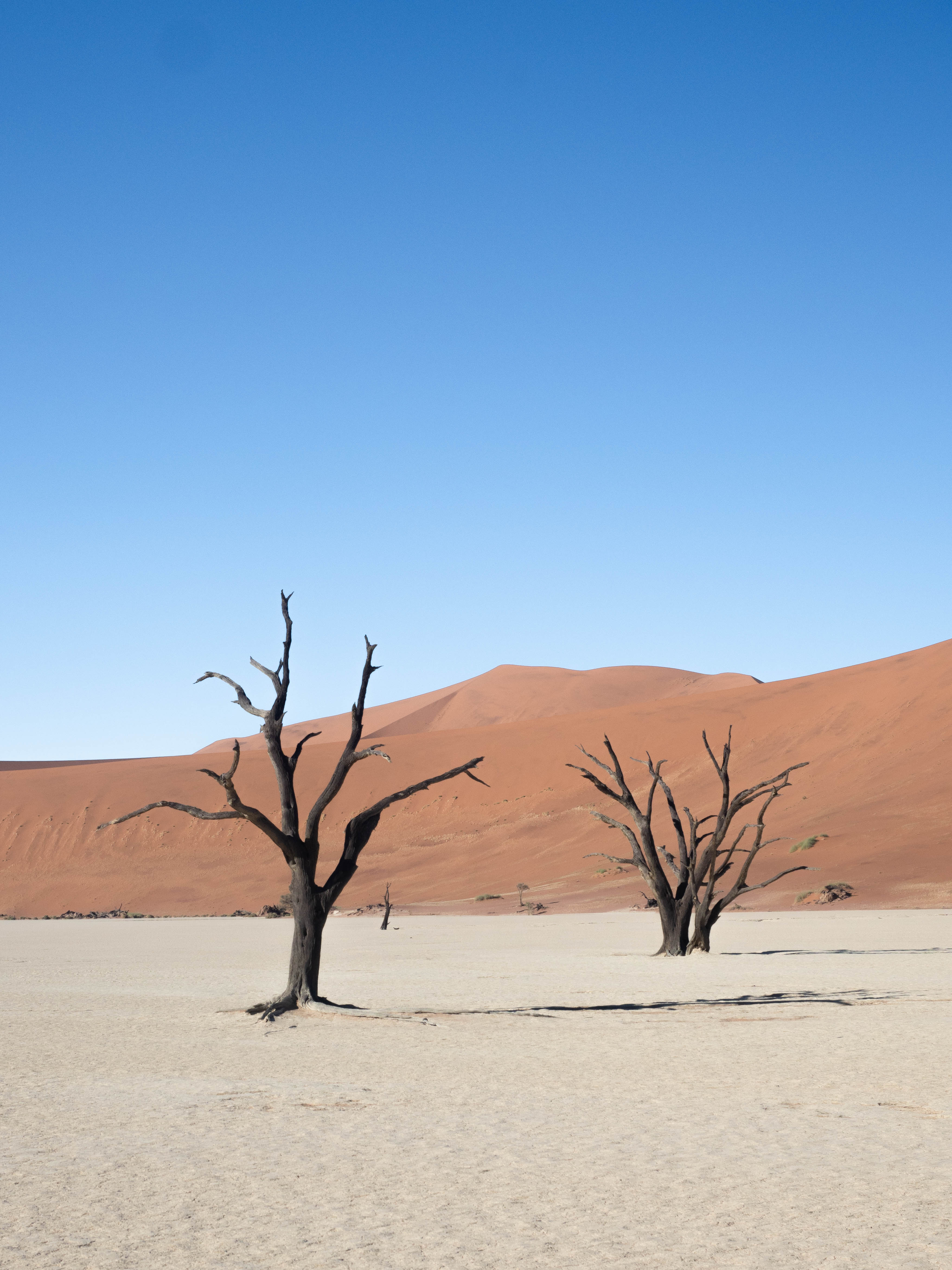 sossusvlei-travel-blog-deadvlei-namibia-road-trip-self-drive-backpacking-travelling-the-world-solo