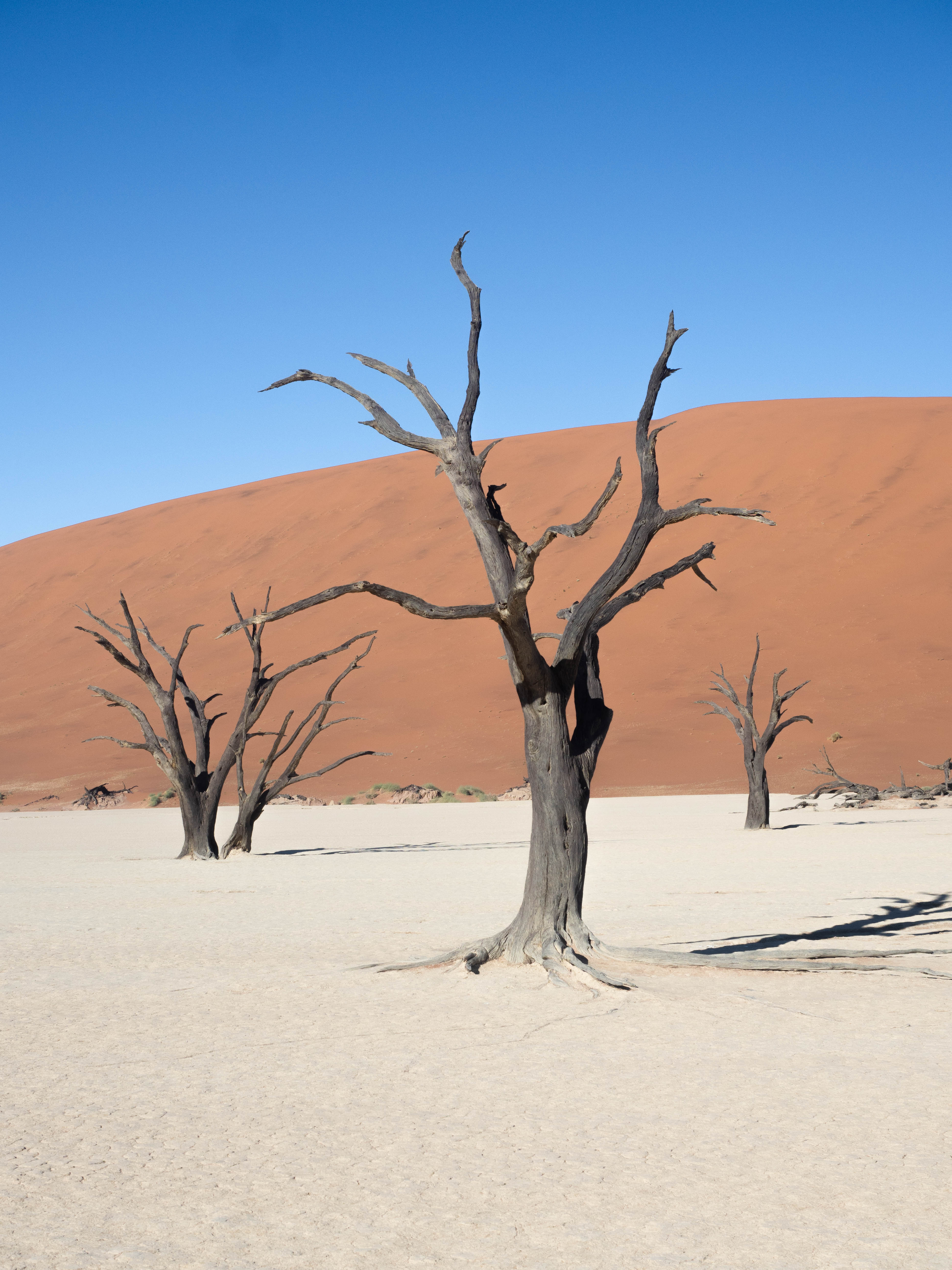 sossusvlei-travel-blog-deadvlei-namibia-road-trip-self-drive-backpacking-travelling-the-world-solo