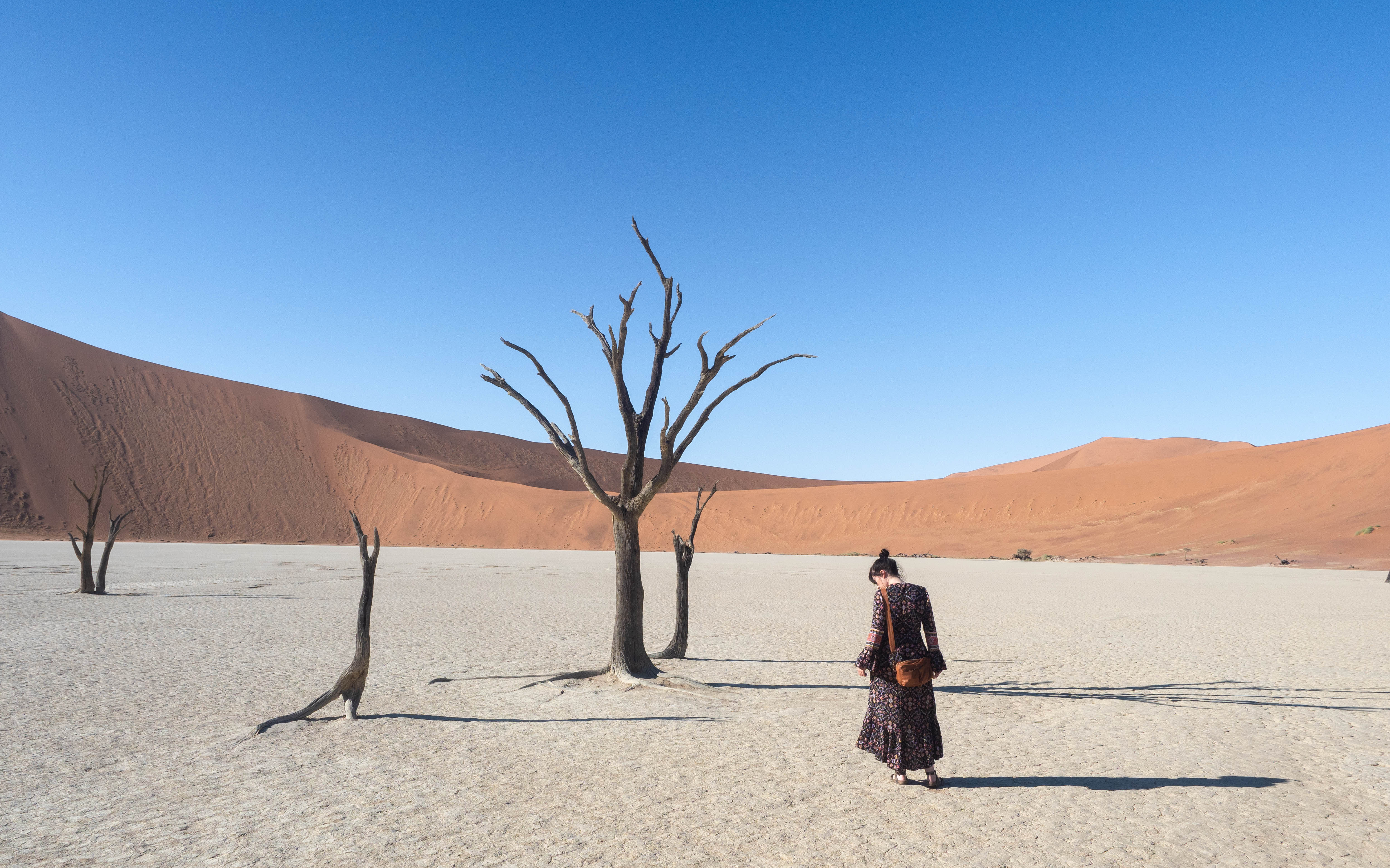 sossusvlei-travel-blog-deadvlei-namibia-road-trip-self-drive-backpacking-travelling-the-world-solo