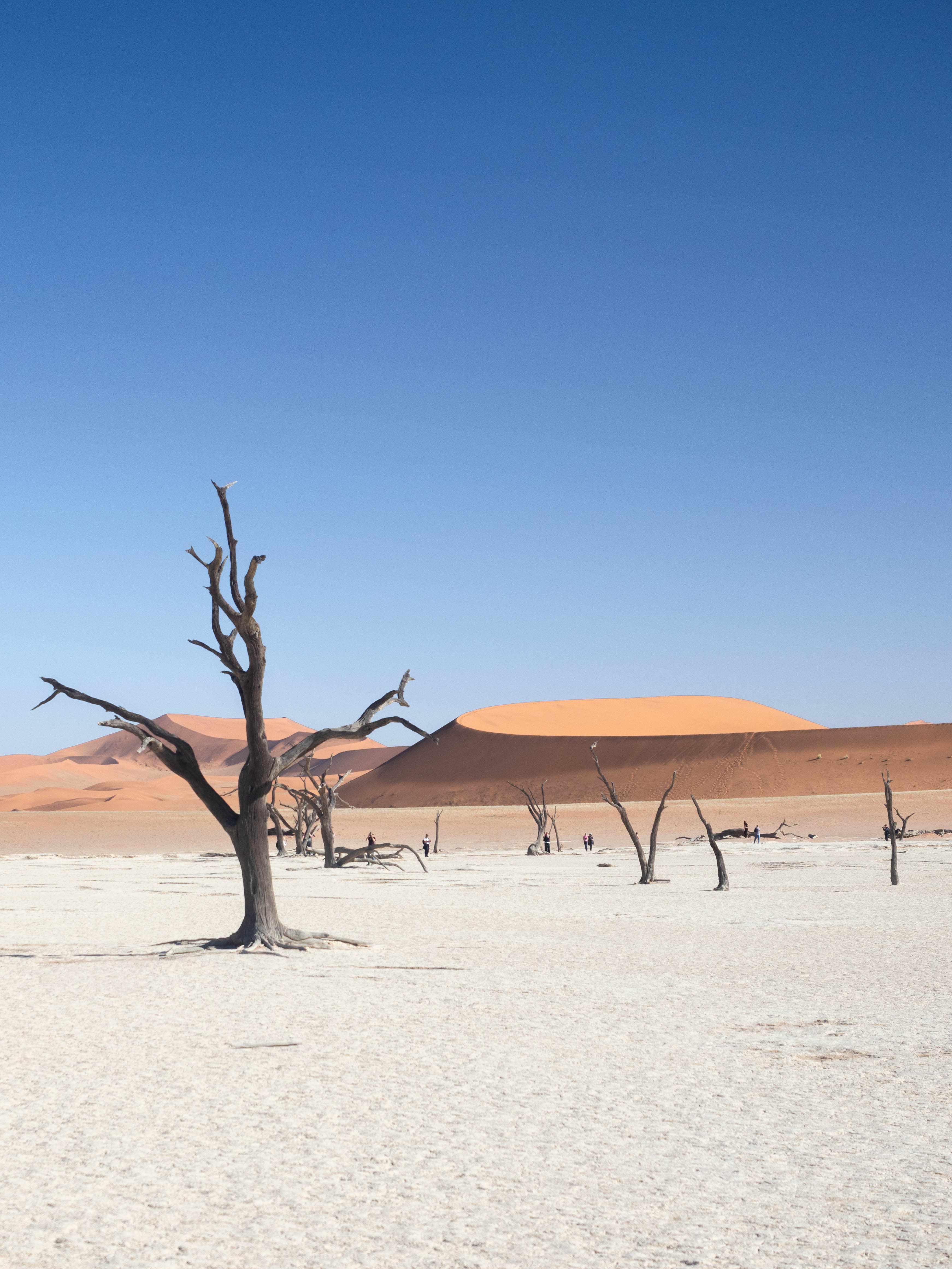 sossusvlei-travel-blog-deadvlei-namibia-road-trip-self-drive-backpacking-travelling-the-world-solo