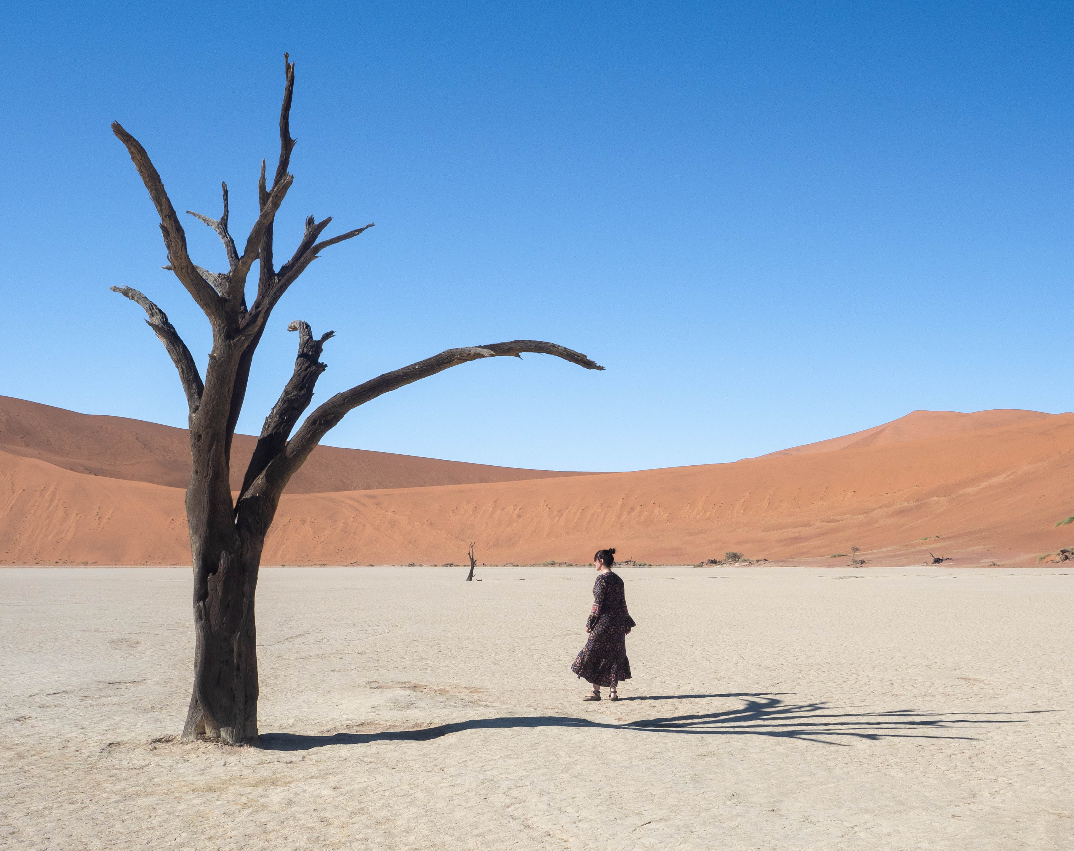 sossusvlei-travel-blog-deadvlei-namibia-road-trip-self-drive-backpacking-travelling-the-world-solo