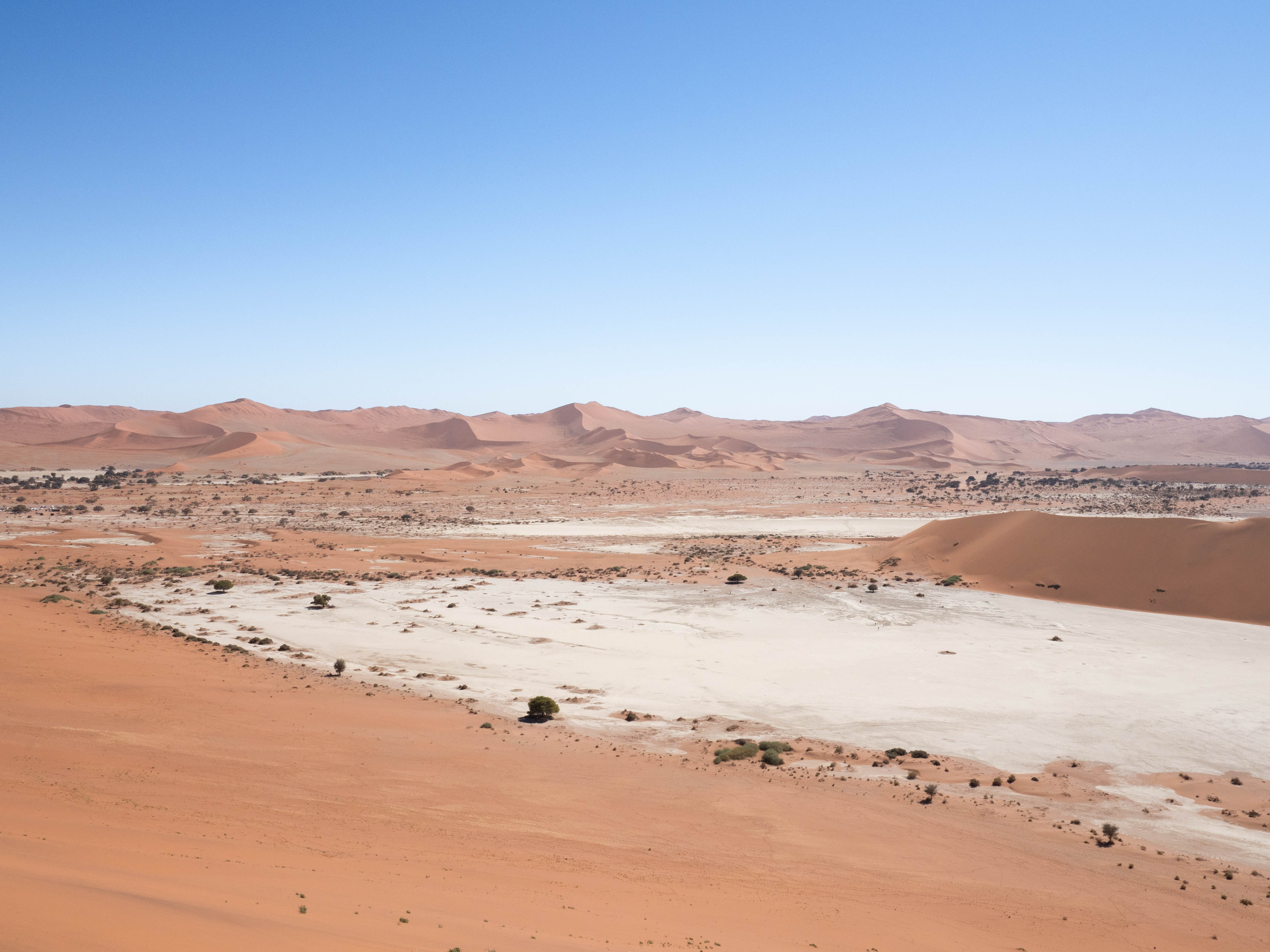 sossusvlei-travel-blog-deadvlei-namibia-road-trip-self-drive-backpacking-travelling-the-world-solo