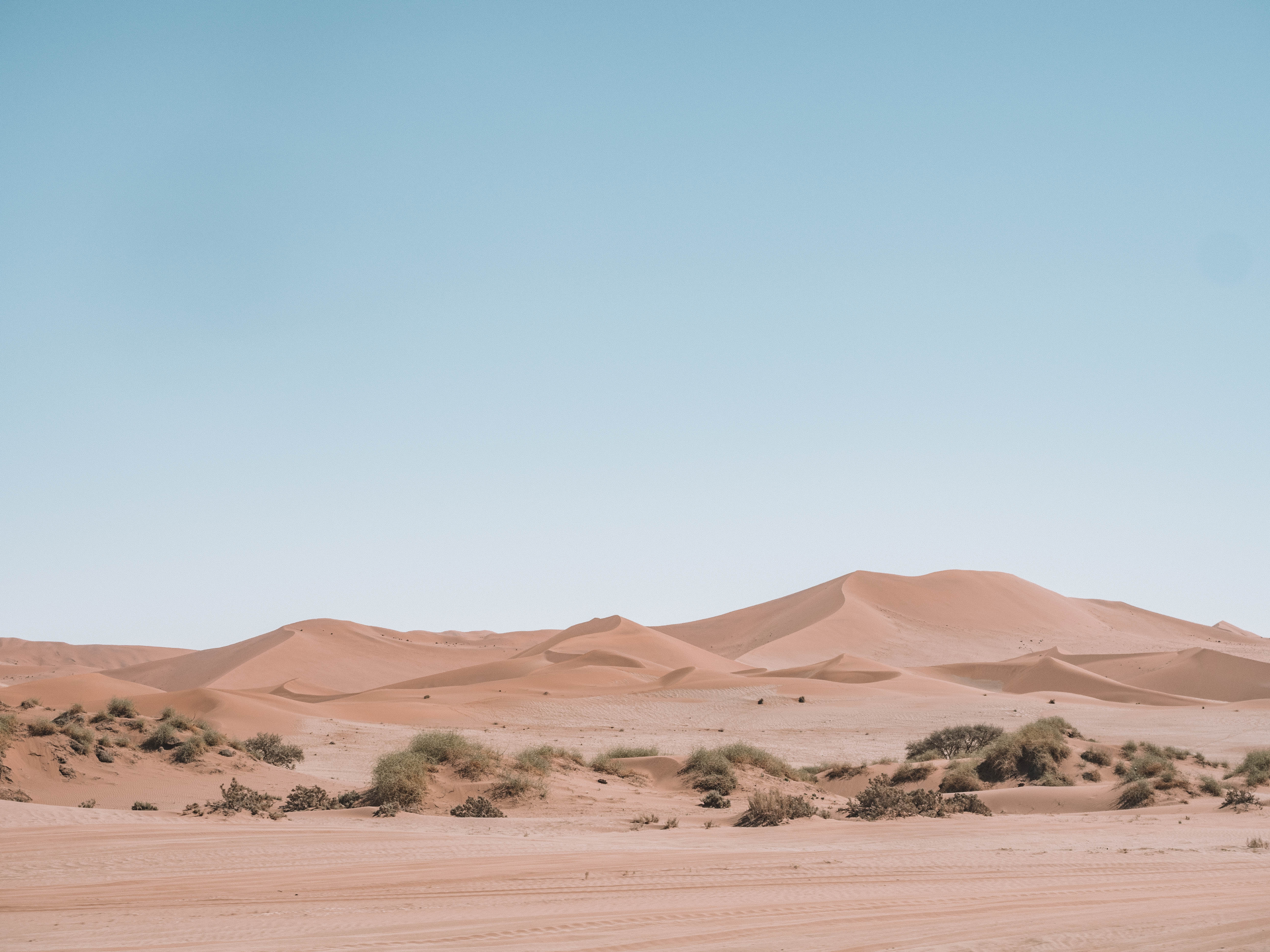 sossusvlei-travel-blog-deadvlei-namibia-road-trip-self-drive-backpacking-travelling-the-world-solo