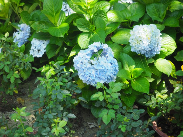 hue-vietnam-travel-blog-travelling-the-world-solo-female-travel-imperial-city