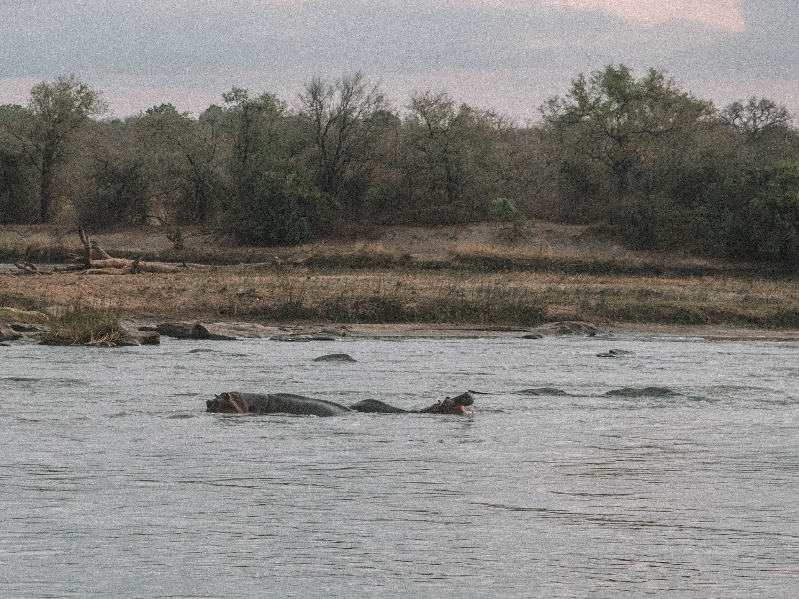 azura-selous-safari-tanzania-travel-blog-namibia-road-trip-self-drive-backpacking-travelling-the-world-solo