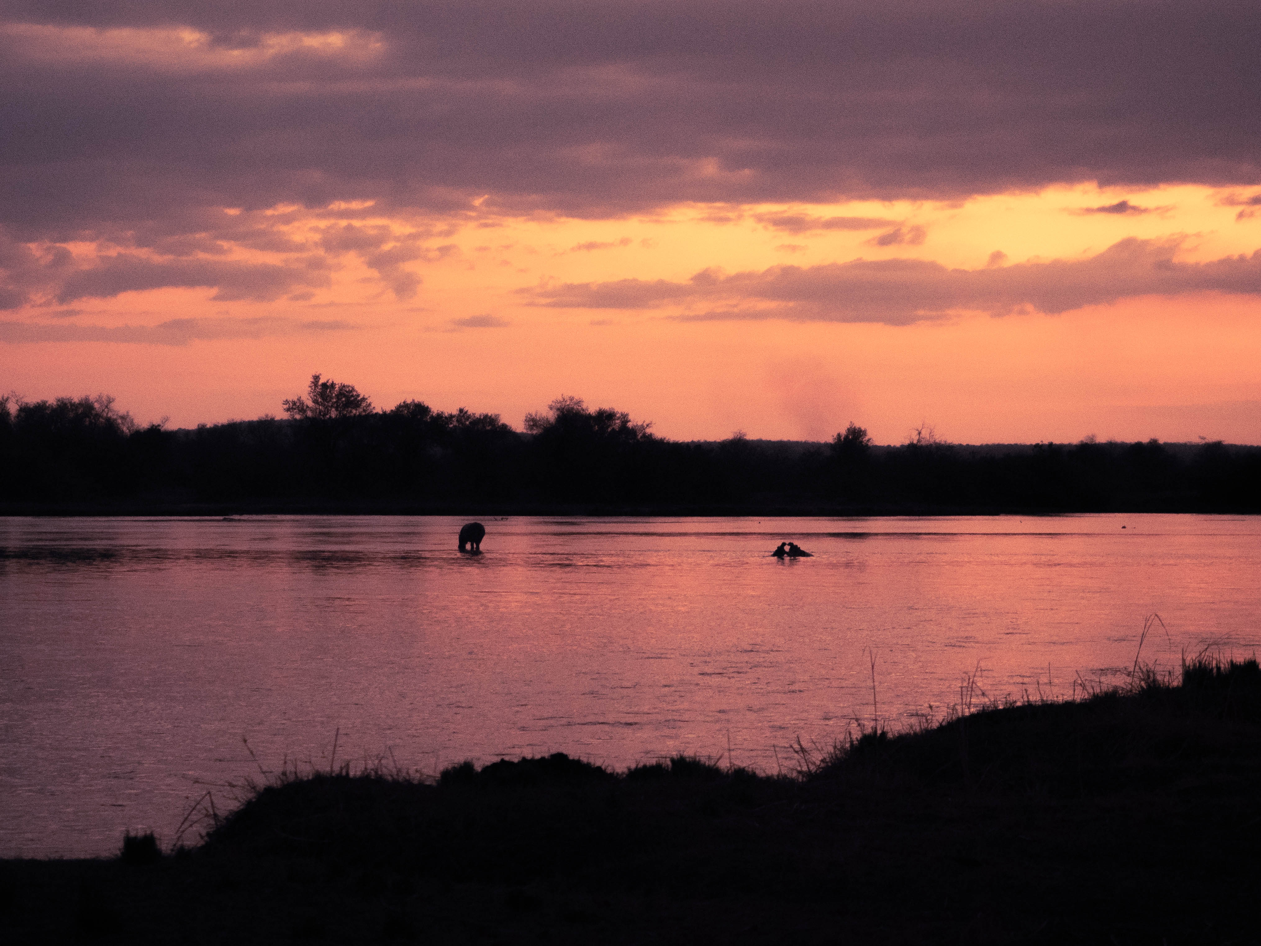 azura-selous-safari-tanzania-travel-blog-namibia-road-trip-self-drive-backpacking-travelling-the-world-solo
