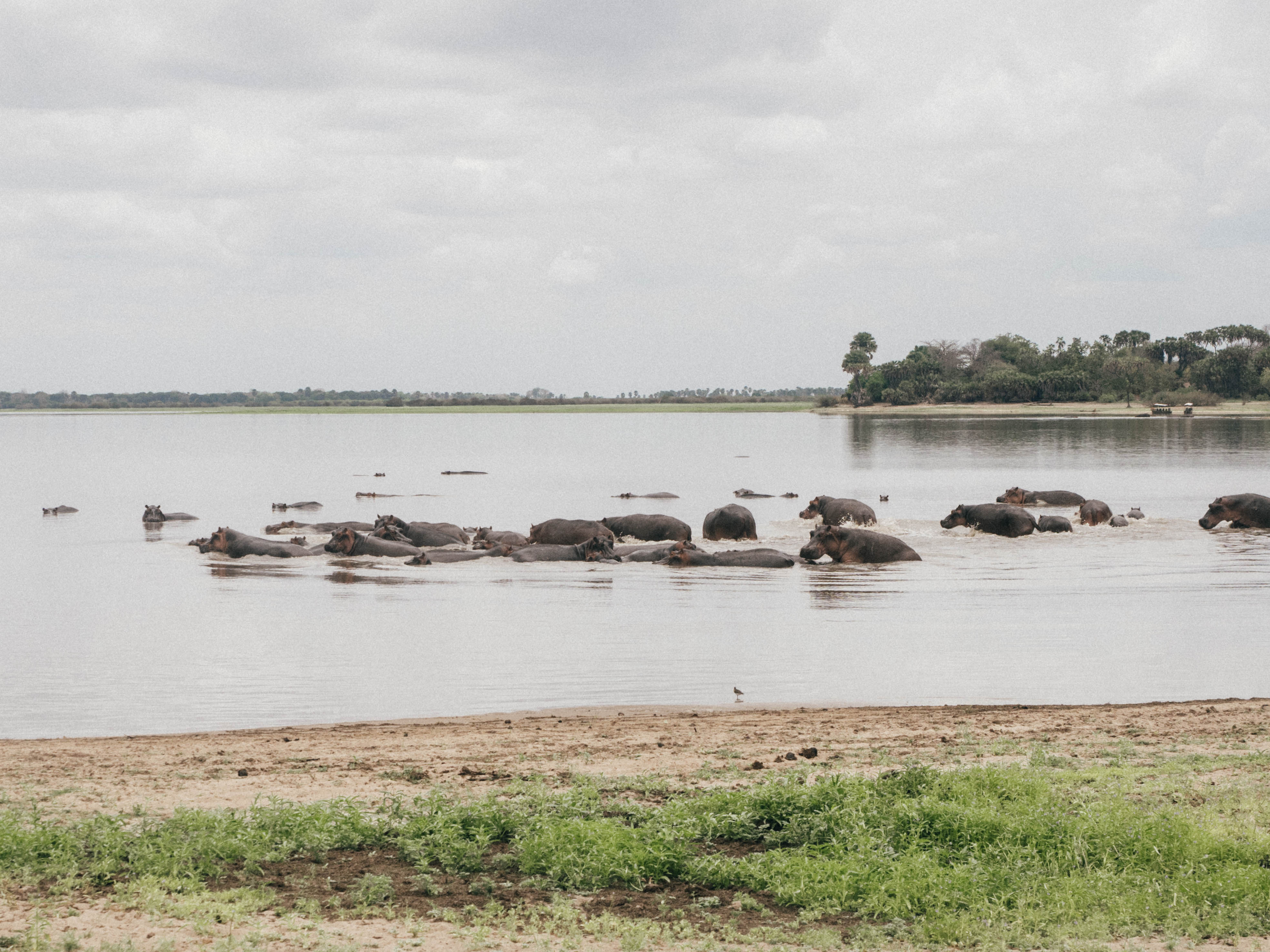 azura-selous-safari-tanzania-travel-blog-namibia-road-trip-self-drive-backpacking-travelling-the-world-solo