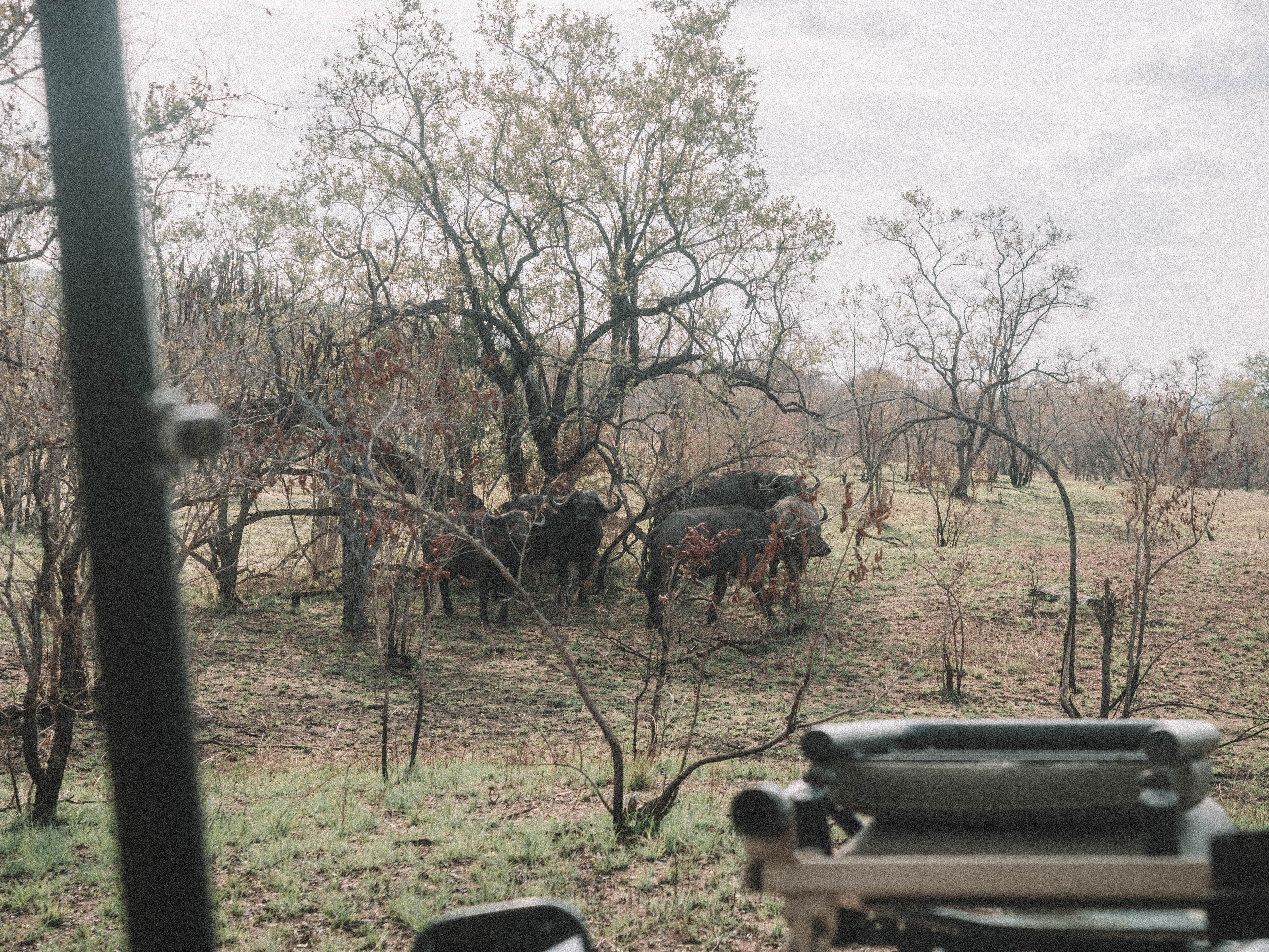 azura-selous-safari-tanzania-travel-blog-namibia-road-trip-self-drive-backpacking-travelling-the-world-solo