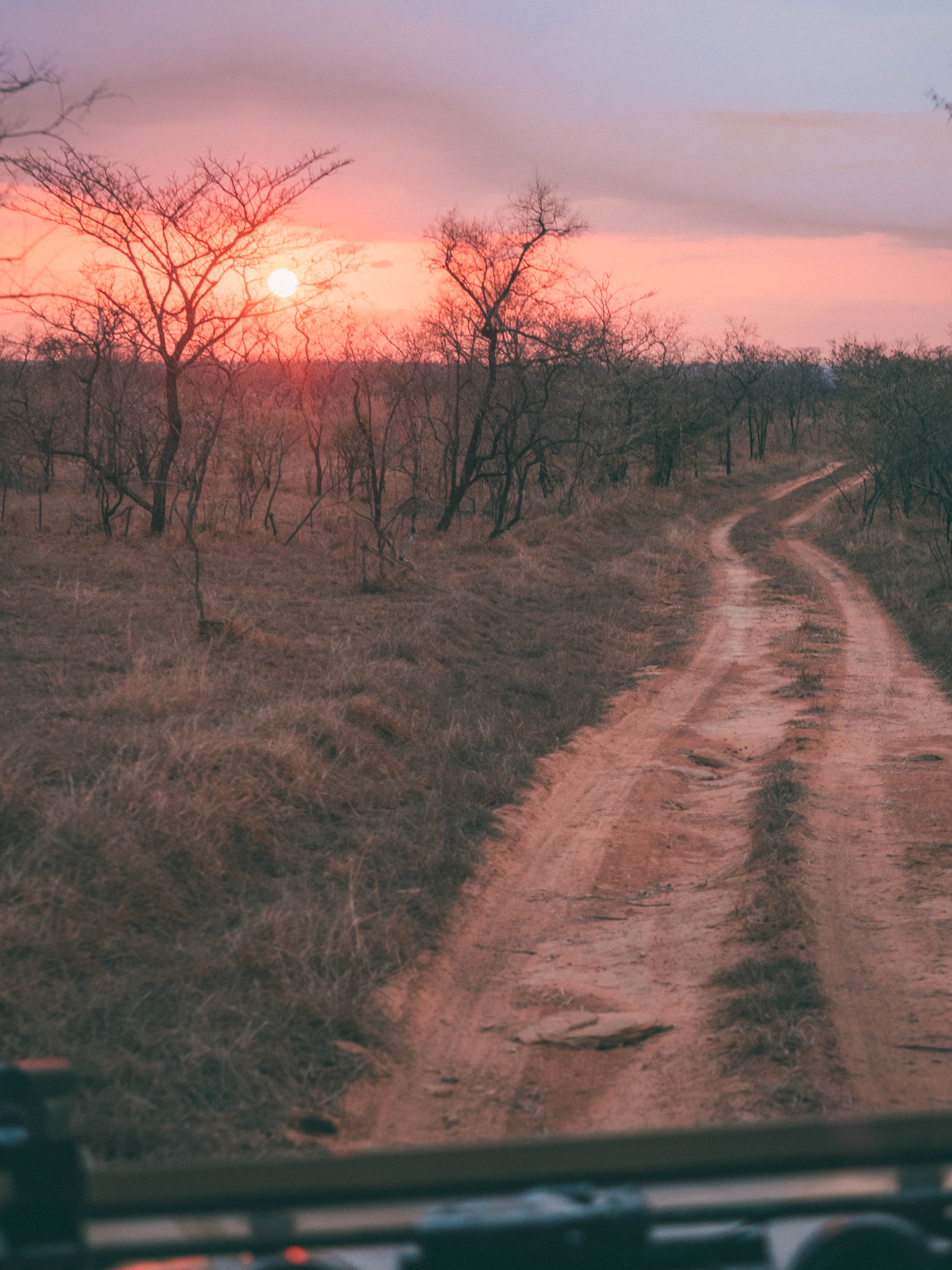 azura-selous-safari-tanzania-travel-blog-namibia-road-trip-self-drive-backpacking-travelling-the-world-solo