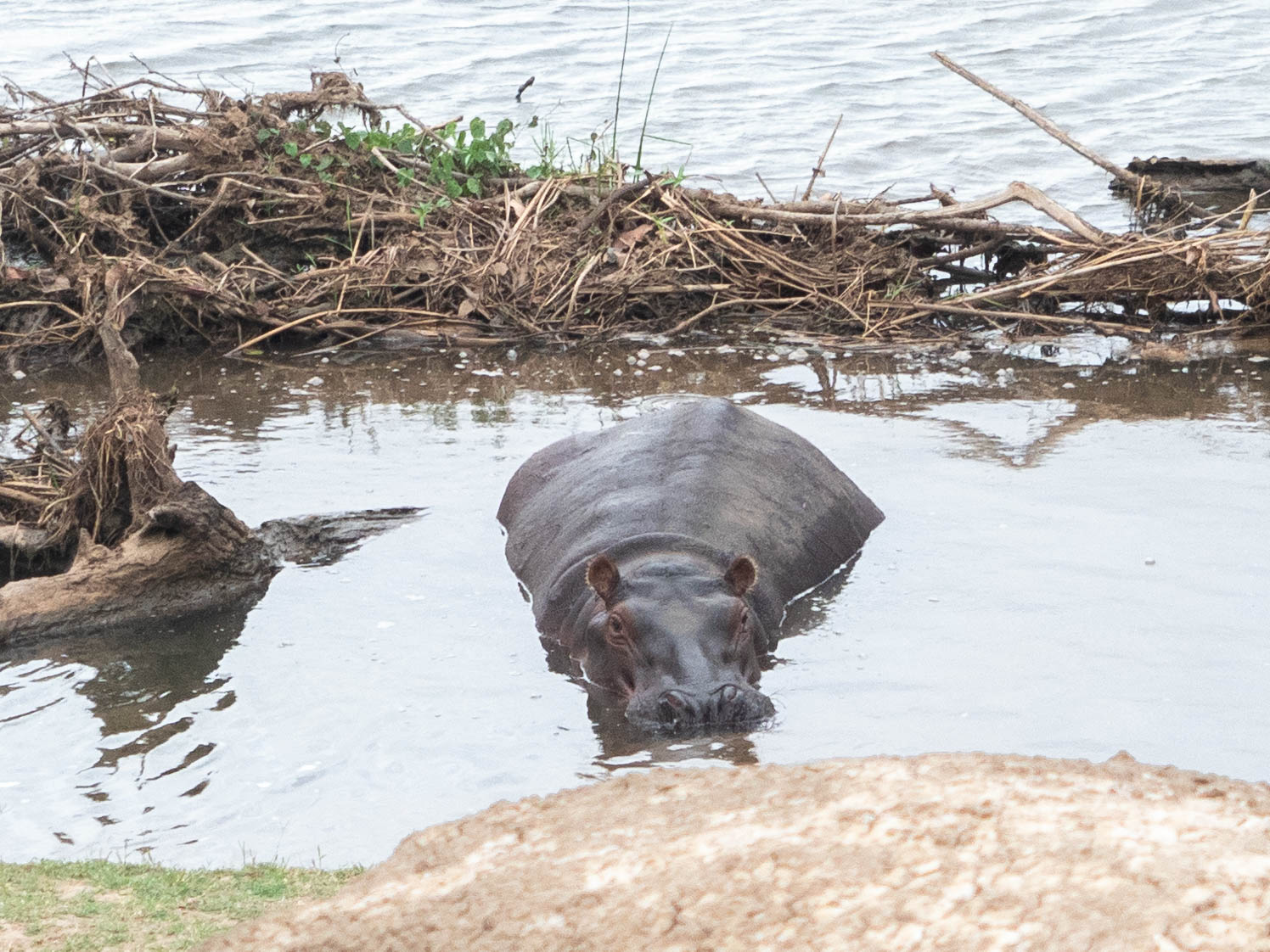 azura-selous-safari-tanzania-travel-blog-namibia-road-trip-self-drive-backpacking-travelling-the-world-solo