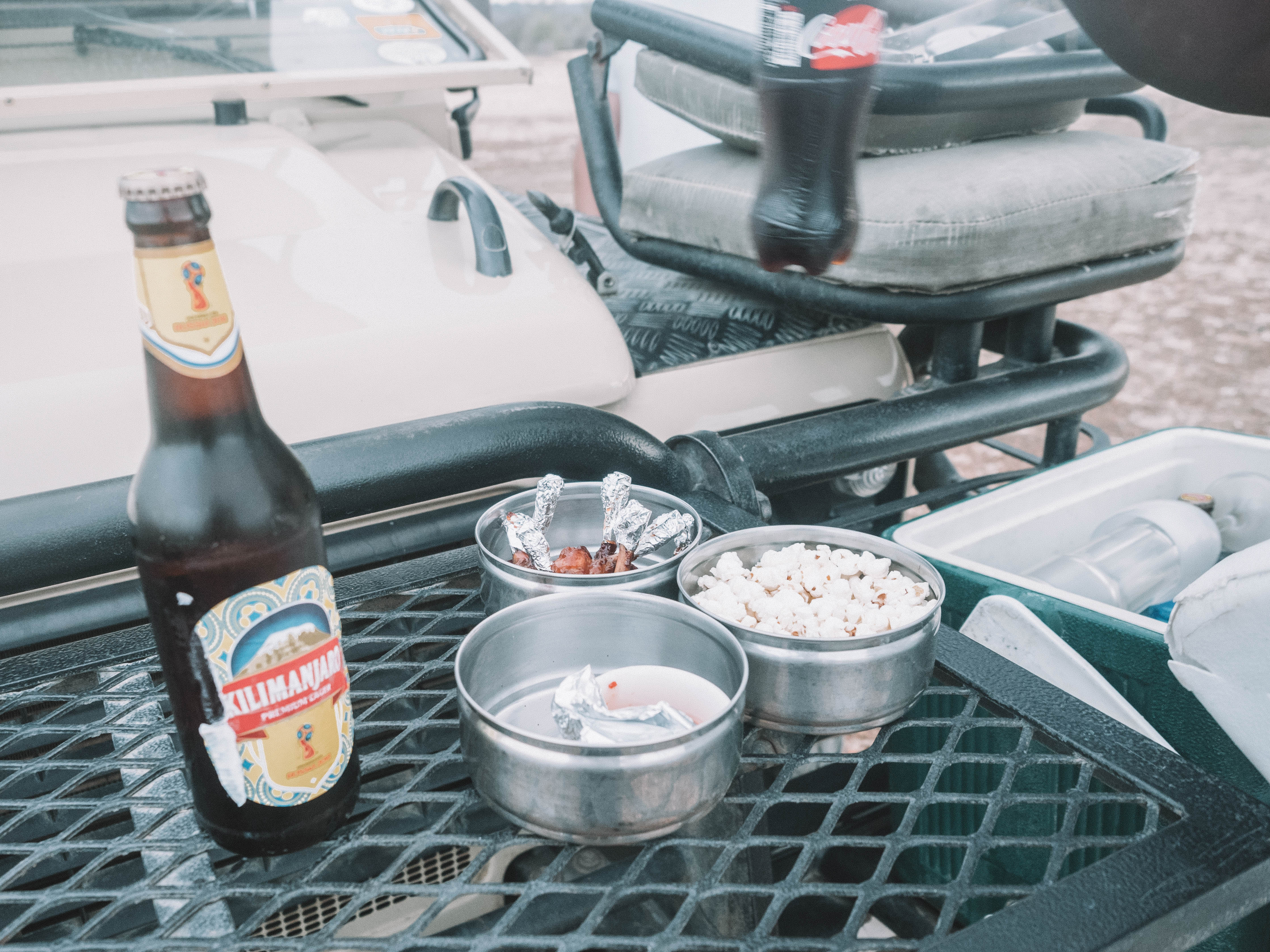 azura-selous-safari-tanzania-travel-blog-namibia-road-trip-self-drive-backpacking-travelling-the-world-solo