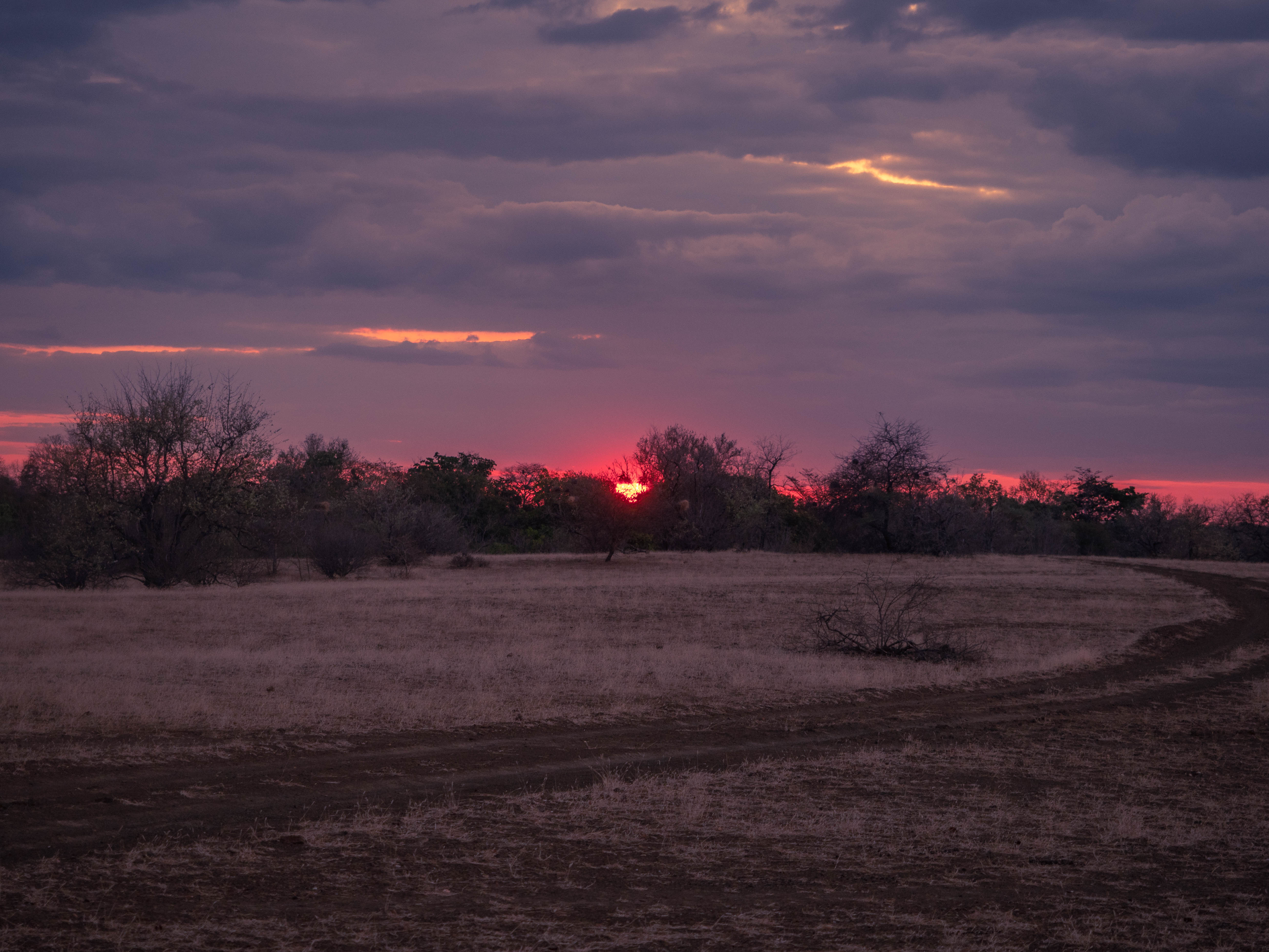 azura-selous-safari-tanzania-travel-blog-namibia-road-trip-self-drive-backpacking-travelling-the-world-solo