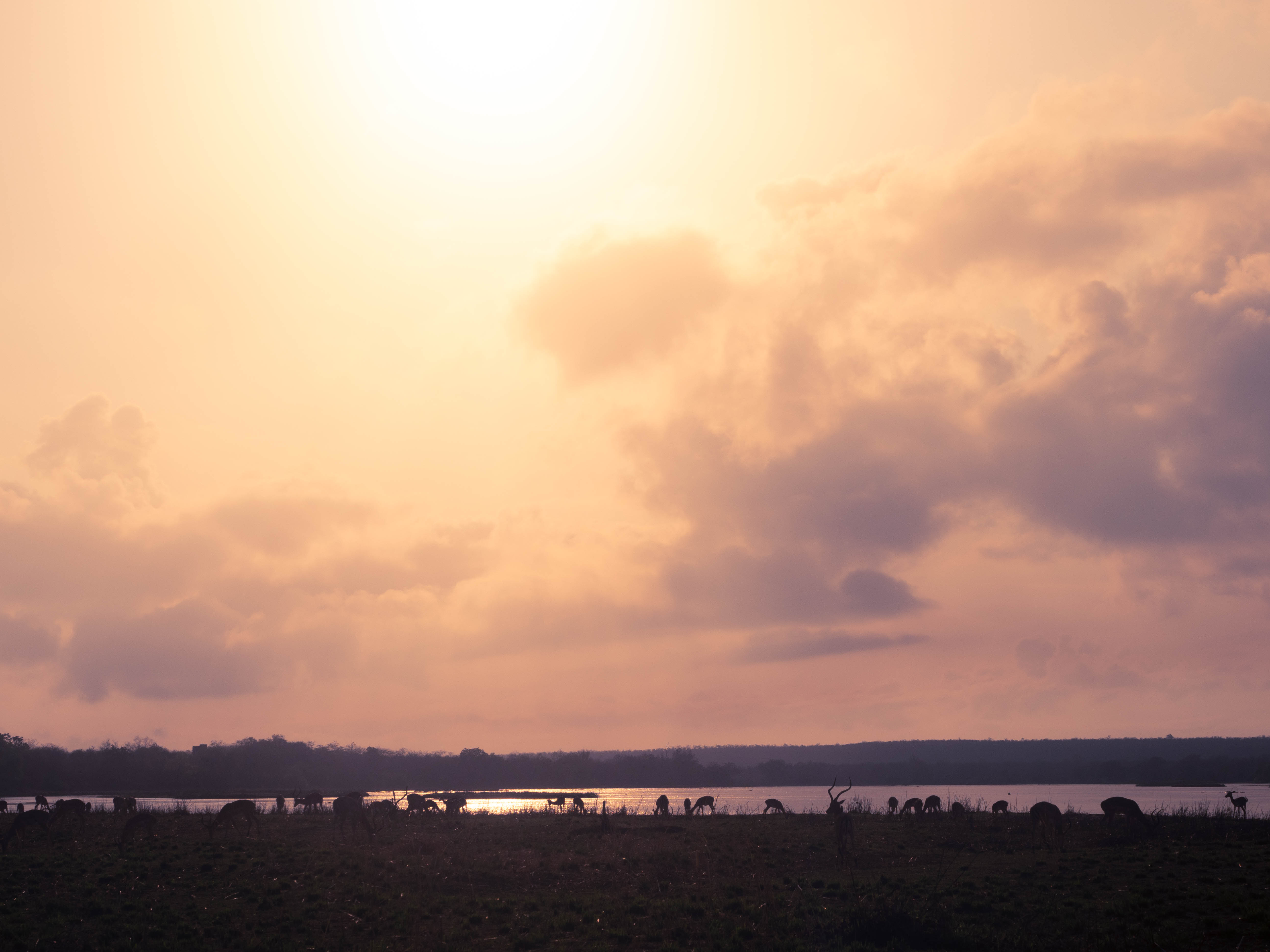 azura-selous-safari-tanzania-travel-blog-namibia-road-trip-self-drive-backpacking-travelling-the-world-solo