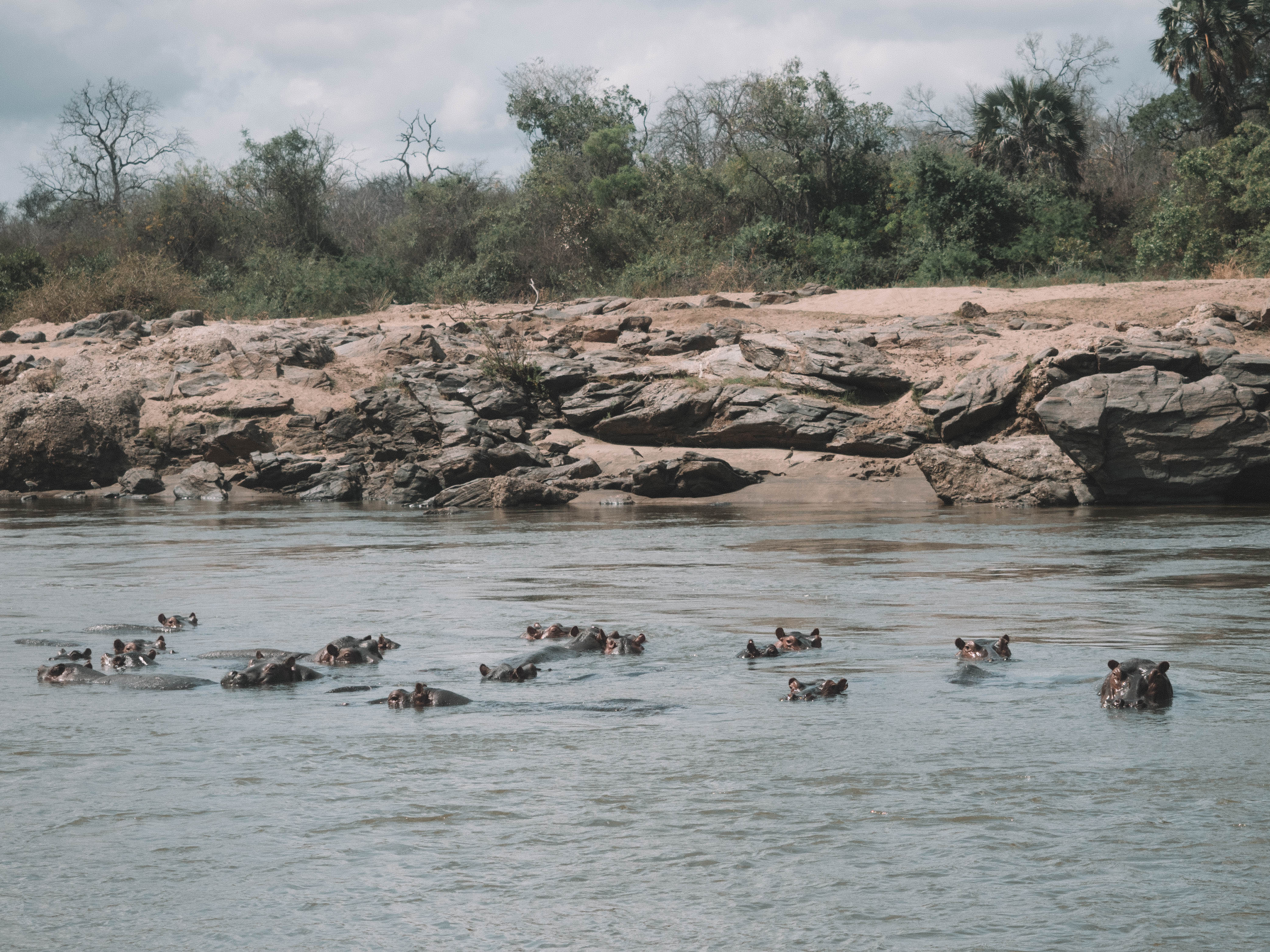 azura-selous-safari-tanzania-travel-blog-namibia-road-trip-self-drive-backpacking-travelling-the-world-solo