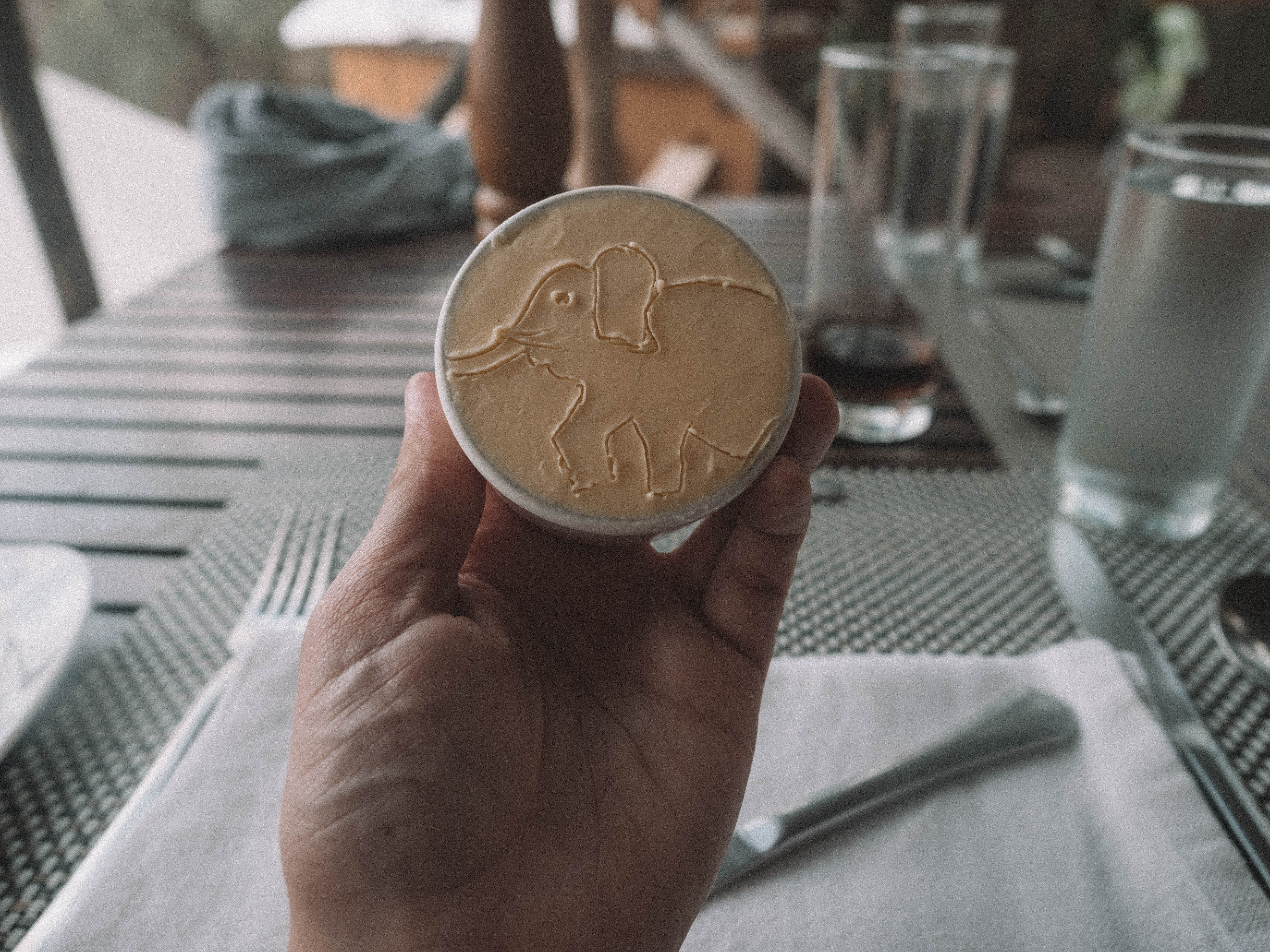 azura-selous-safari-tanzania-travel-blog-namibia-road-trip-self-drive-backpacking-travelling-the-world-solo