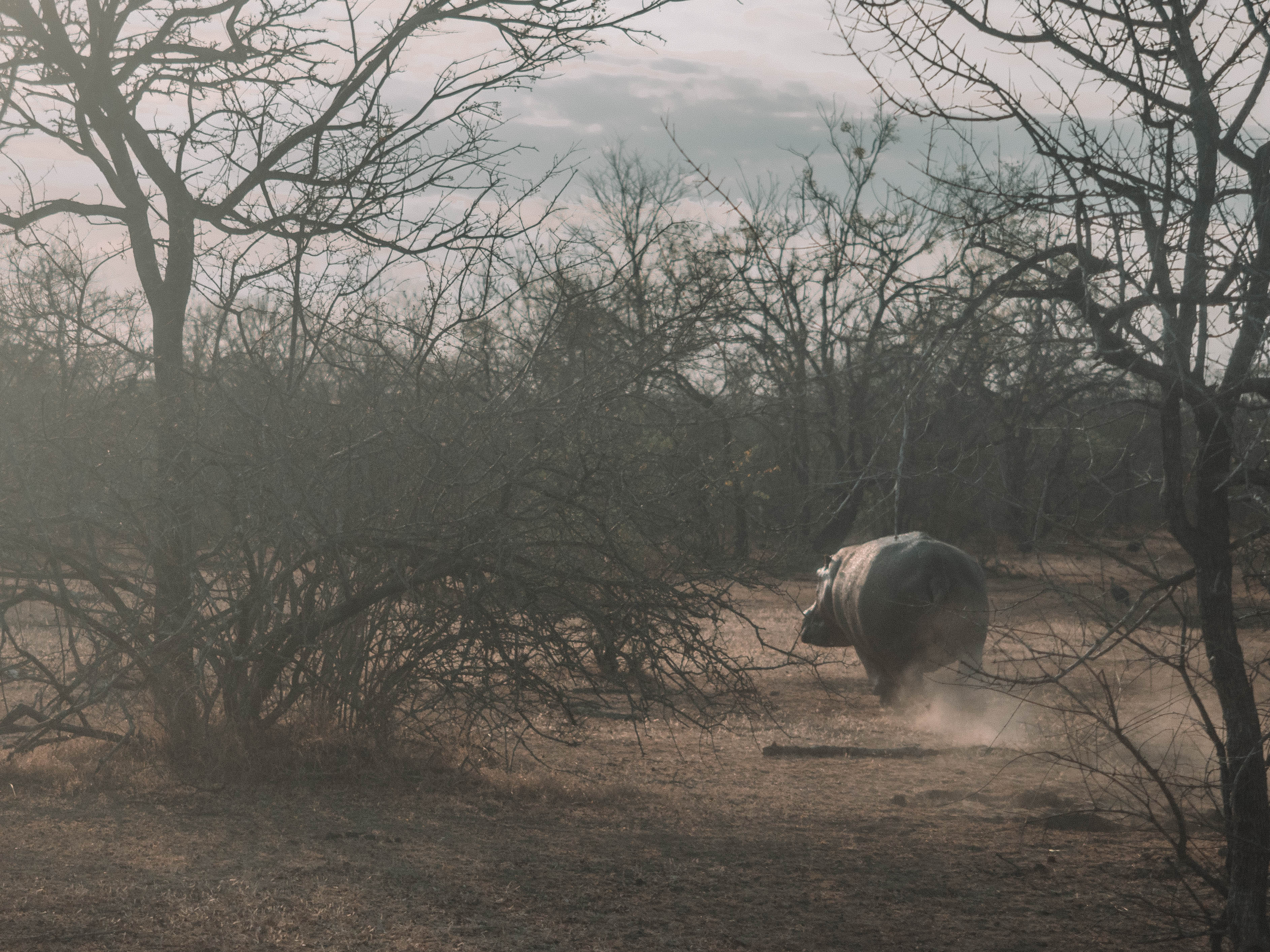 azura-selous-safari-tanzania-travel-blog-namibia-road-trip-self-drive-backpacking-travelling-the-world-solo