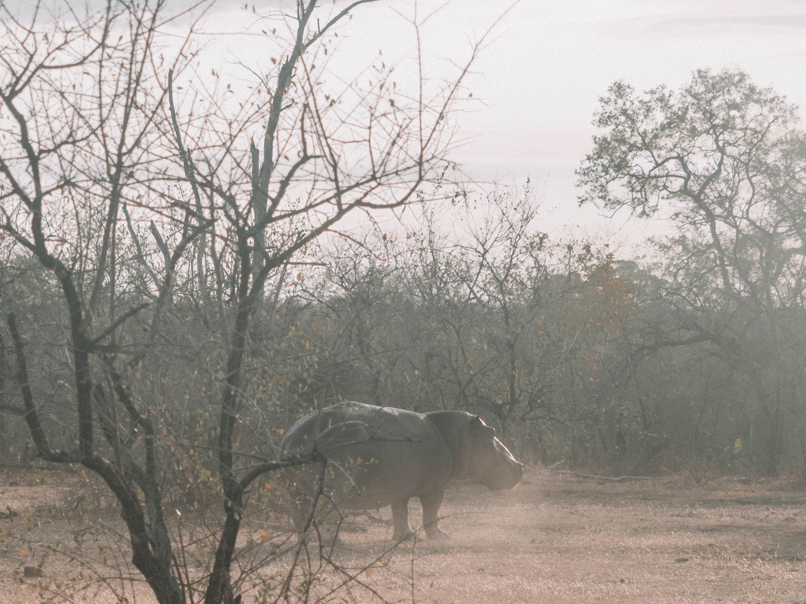 azura-selous-safari-tanzania-travel-blog-namibia-road-trip-self-drive-backpacking-travelling-the-world-solo