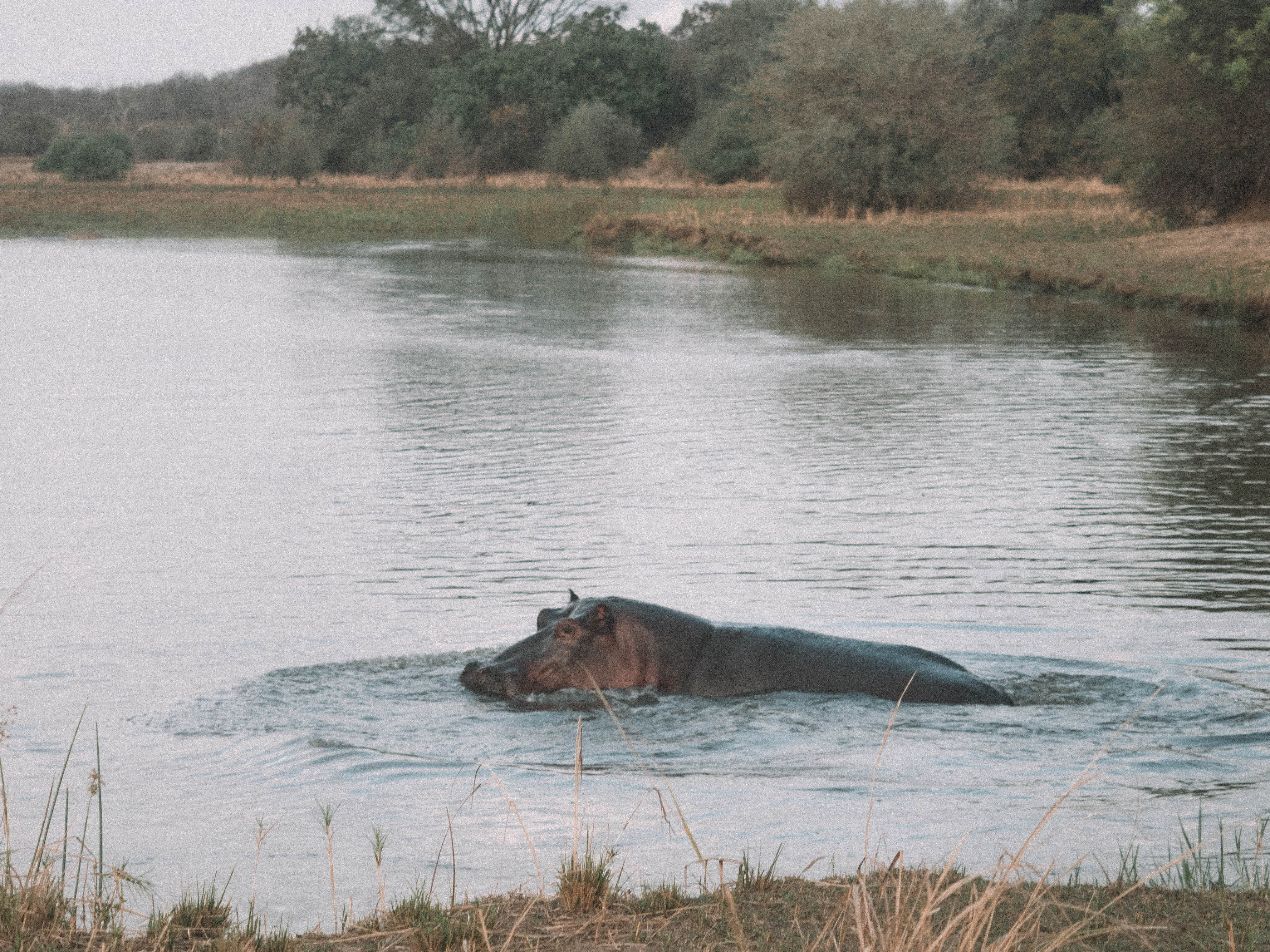 azura-selous-safari-tanzania-travel-blog-namibia-road-trip-self-drive-backpacking-travelling-the-world-solo
