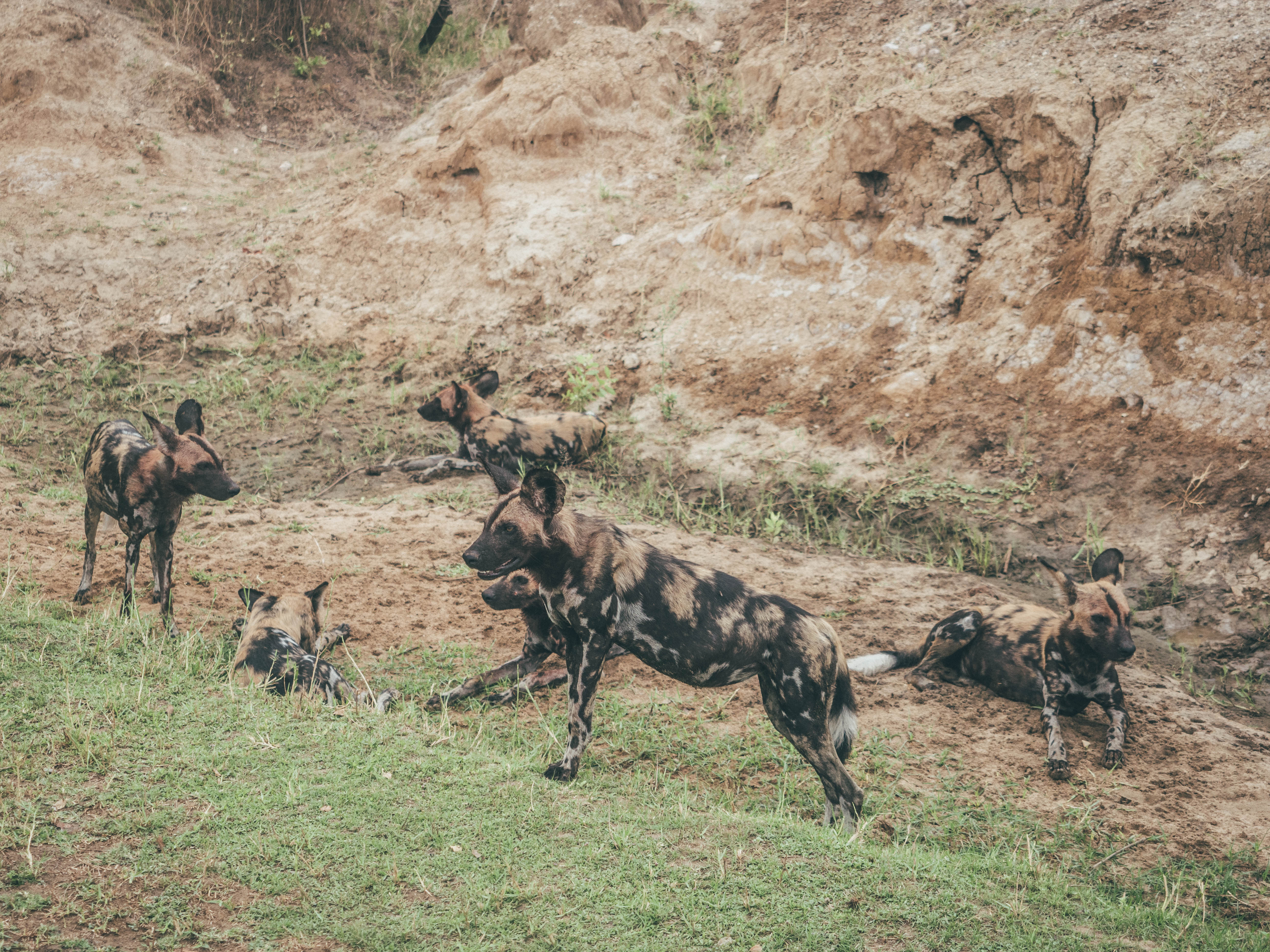 azura-selous-safari-tanzania-travel-blog-namibia-road-trip-self-drive-backpacking-travelling-the-world-solo