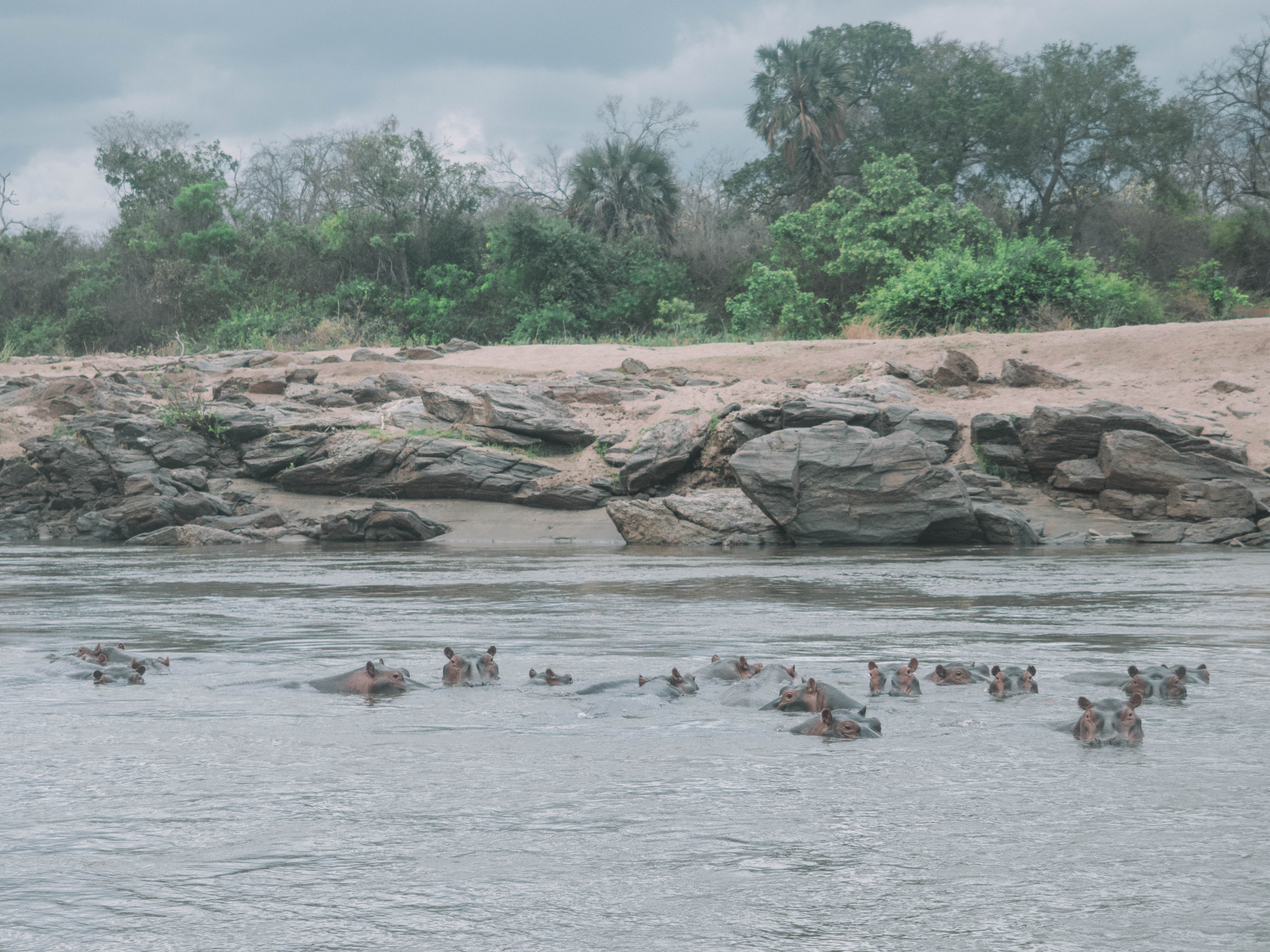 azura-selous-safari-tanzania-travel-blog-namibia-road-trip-self-drive-backpacking-travelling-the-world-solo