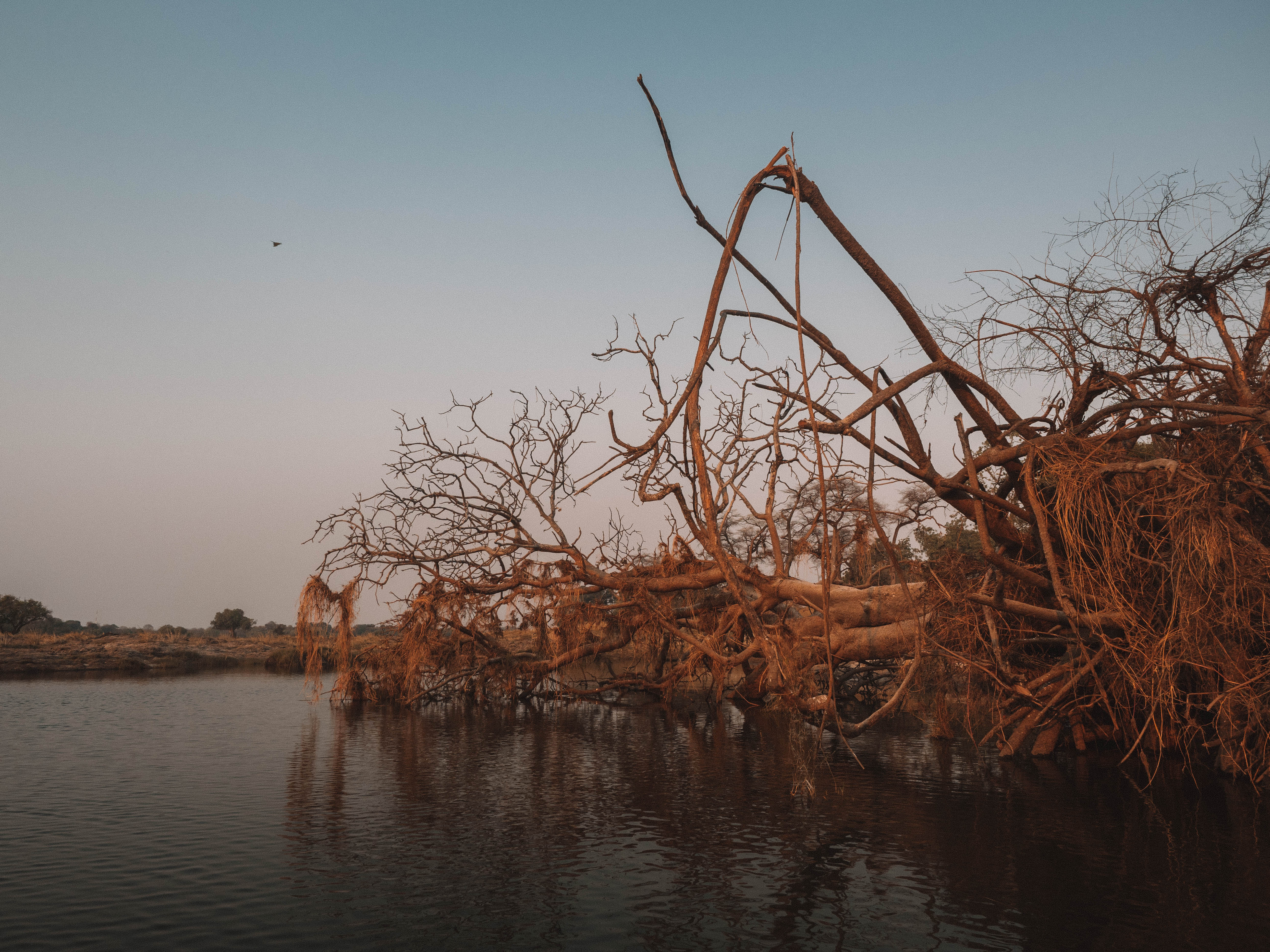 tongabezi-sindabezi-travel-blog-livingstone-zambia-victoria-falls-travelling-the-world-solo