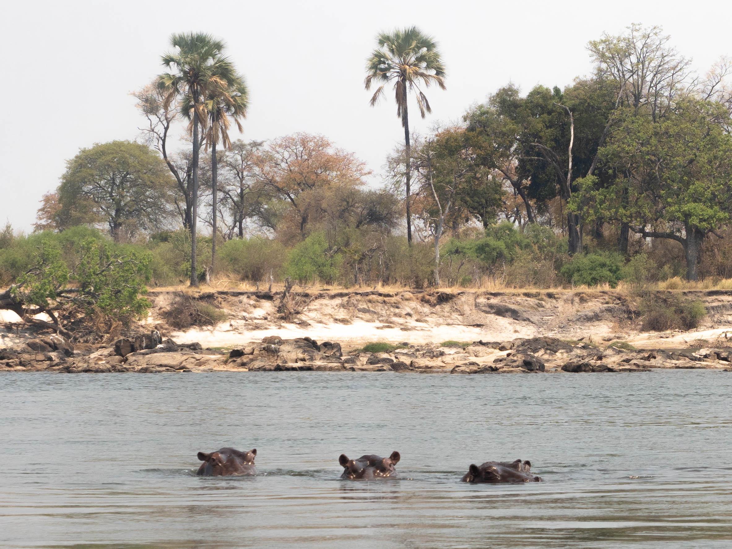 tongabezi-zambia-travel-blog-livingstone-victoria-falls-zambezi-solo-travelling-the-world