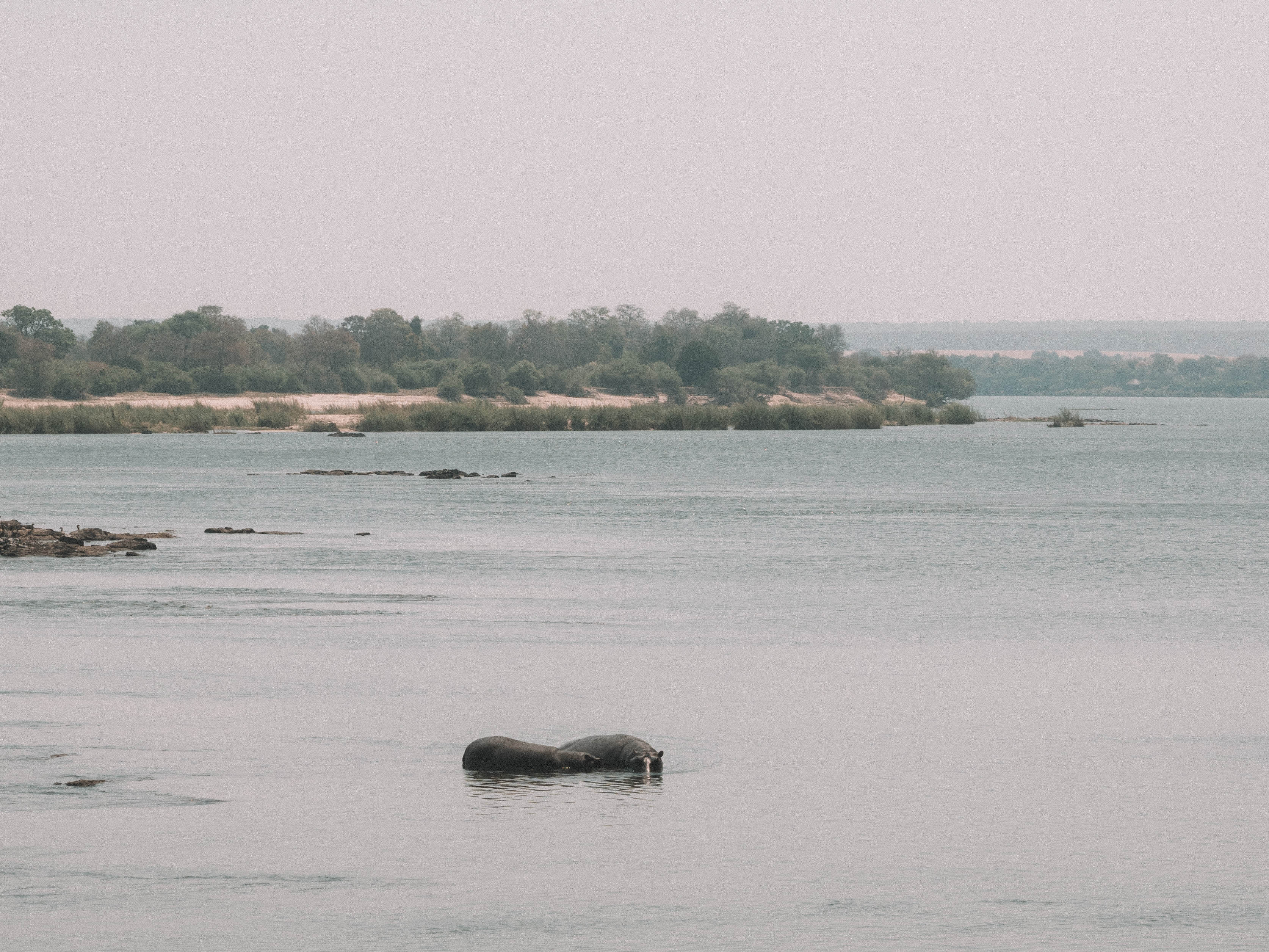 tongabezi-sindabezi-travel-blog-livingstone-zambia-victoria-falls-travelling-the-world-solo