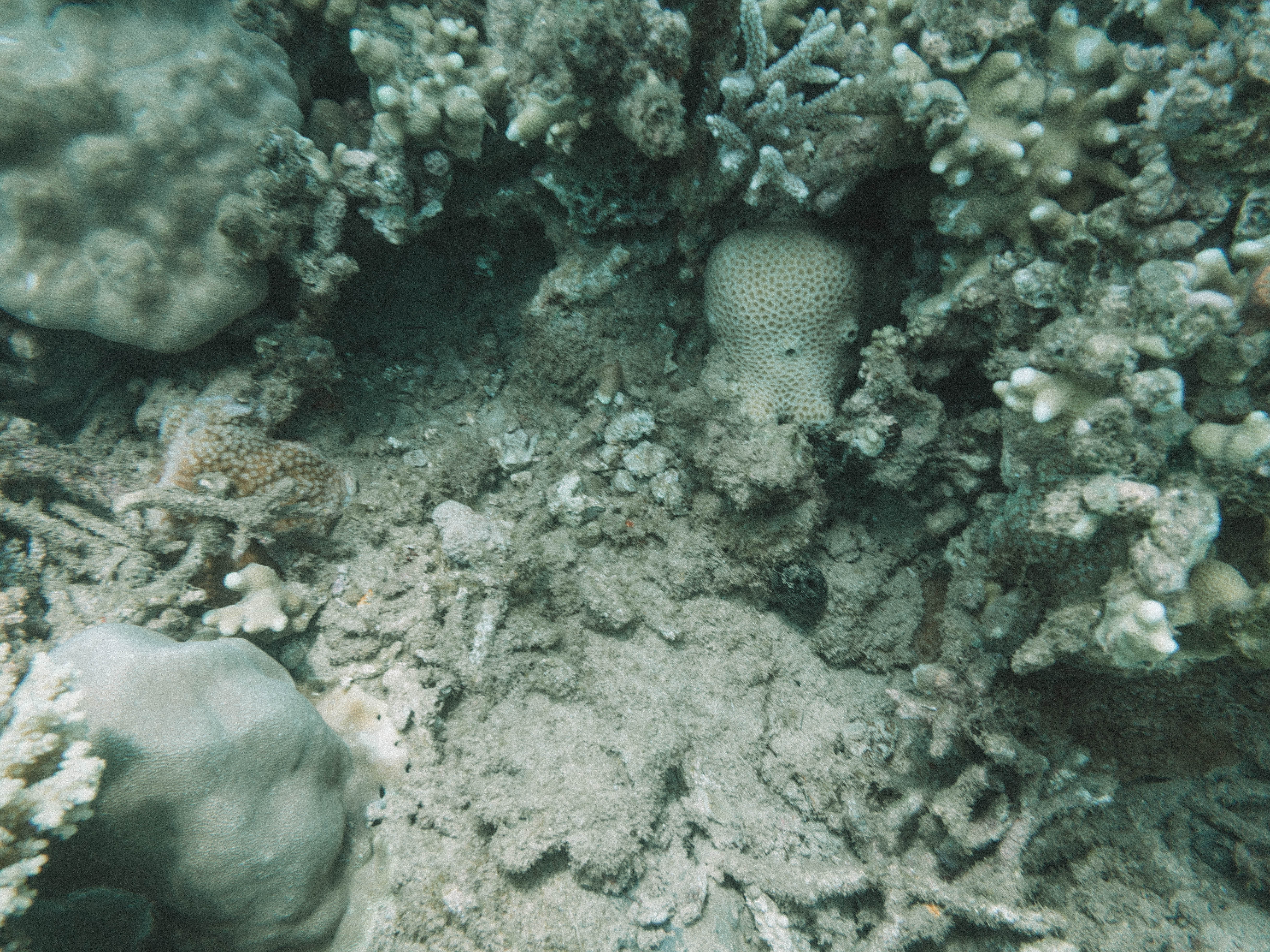 comoros-moheli-travel-blog-laka-lodge-scuba-diving-backpacking-travelling-the-world-solo