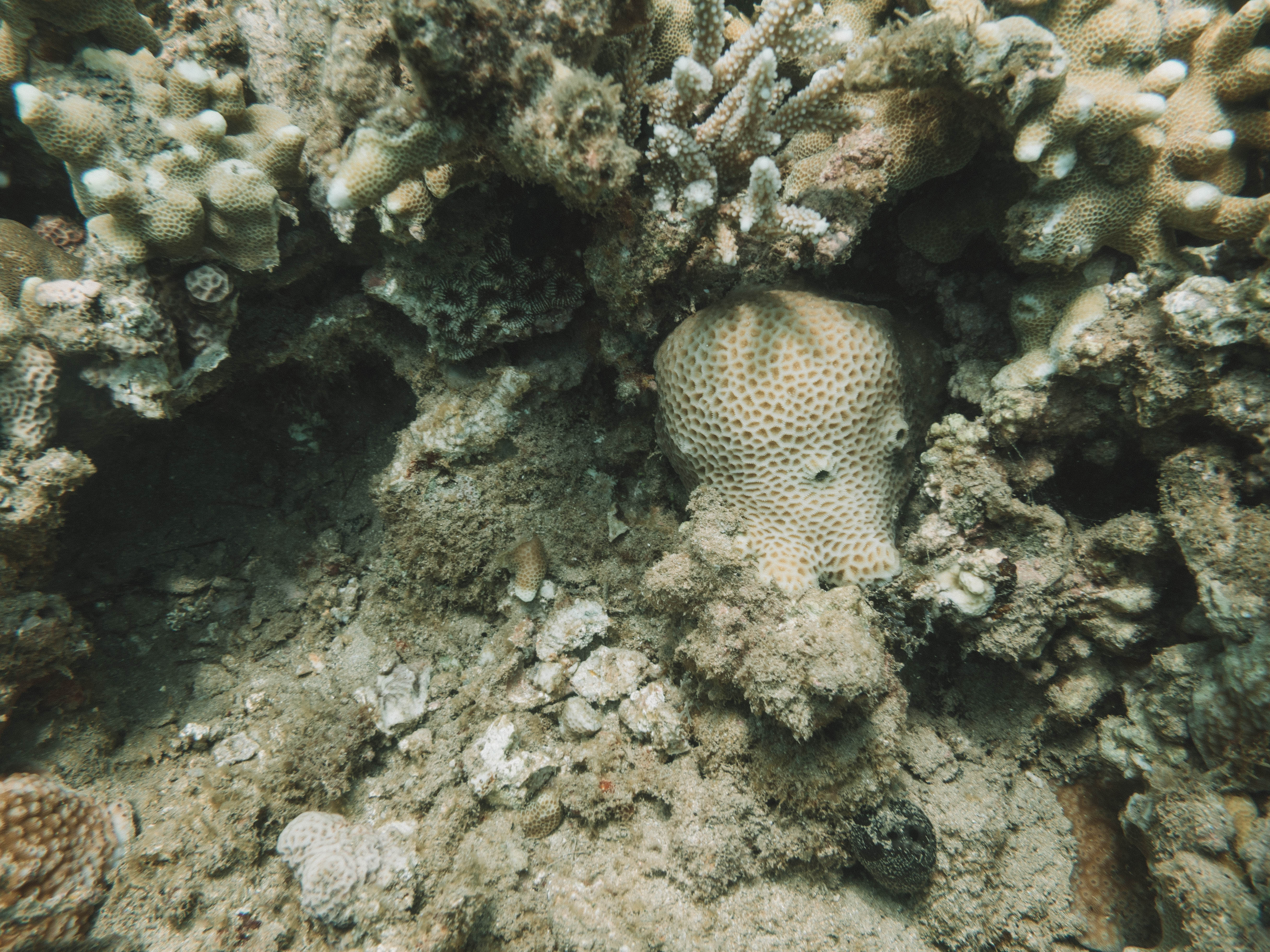 comoros-moheli-travel-blog-laka-lodge-scuba-diving-backpacking-travelling-the-world-solo