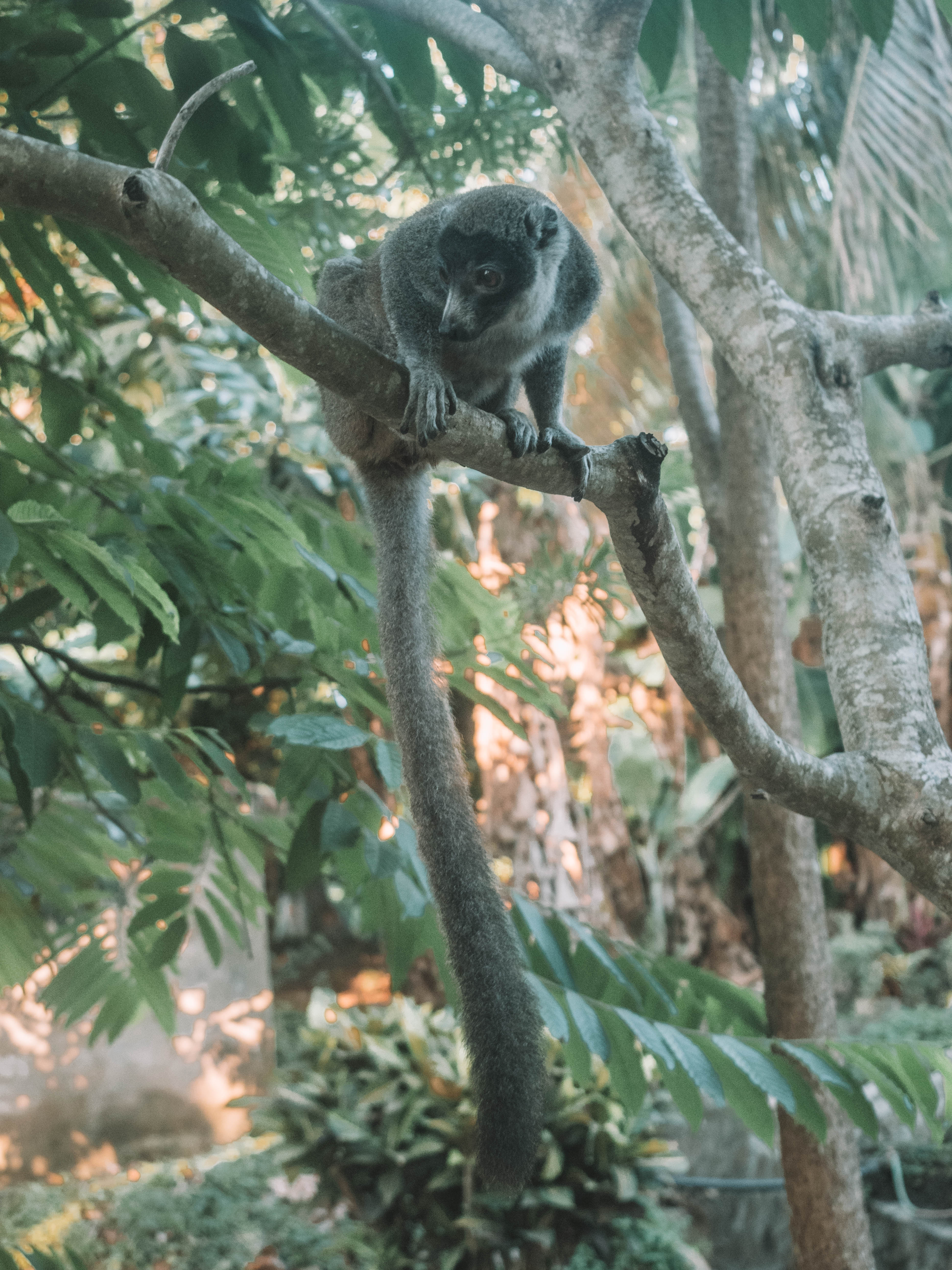 comoros-moheli-travel-blog-laka-lodge-scuba-diving-backpacking-travelling-the-world-solo