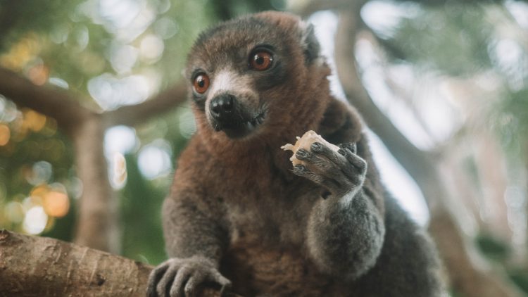 comoros-moheli-travel-blog-laka-lodge-scuba-diving-backpacking-travelling-the-world-solo