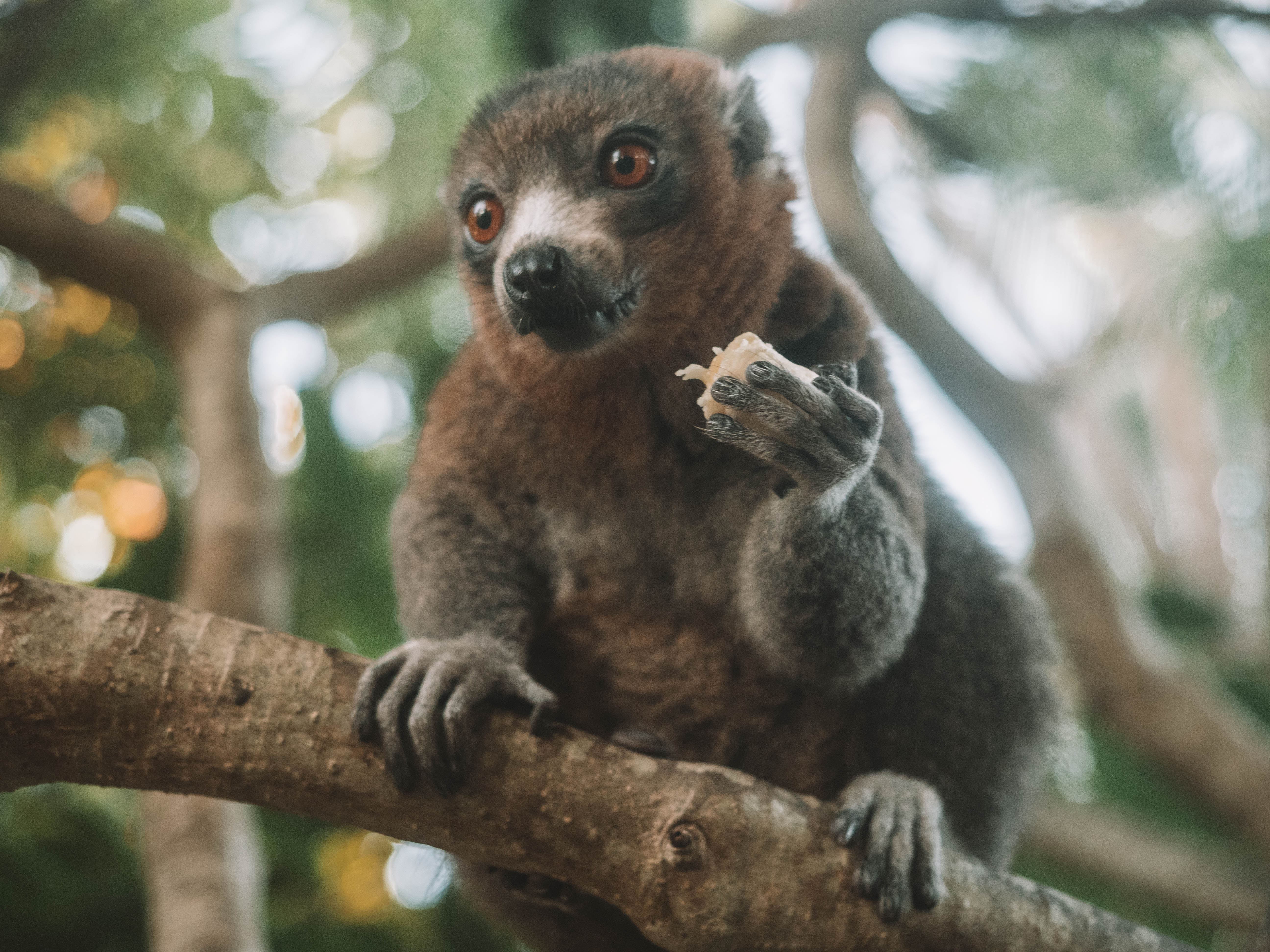 comoros-moheli-travel-blog-laka-lodge-scuba-diving-backpacking-travelling-the-world-solo