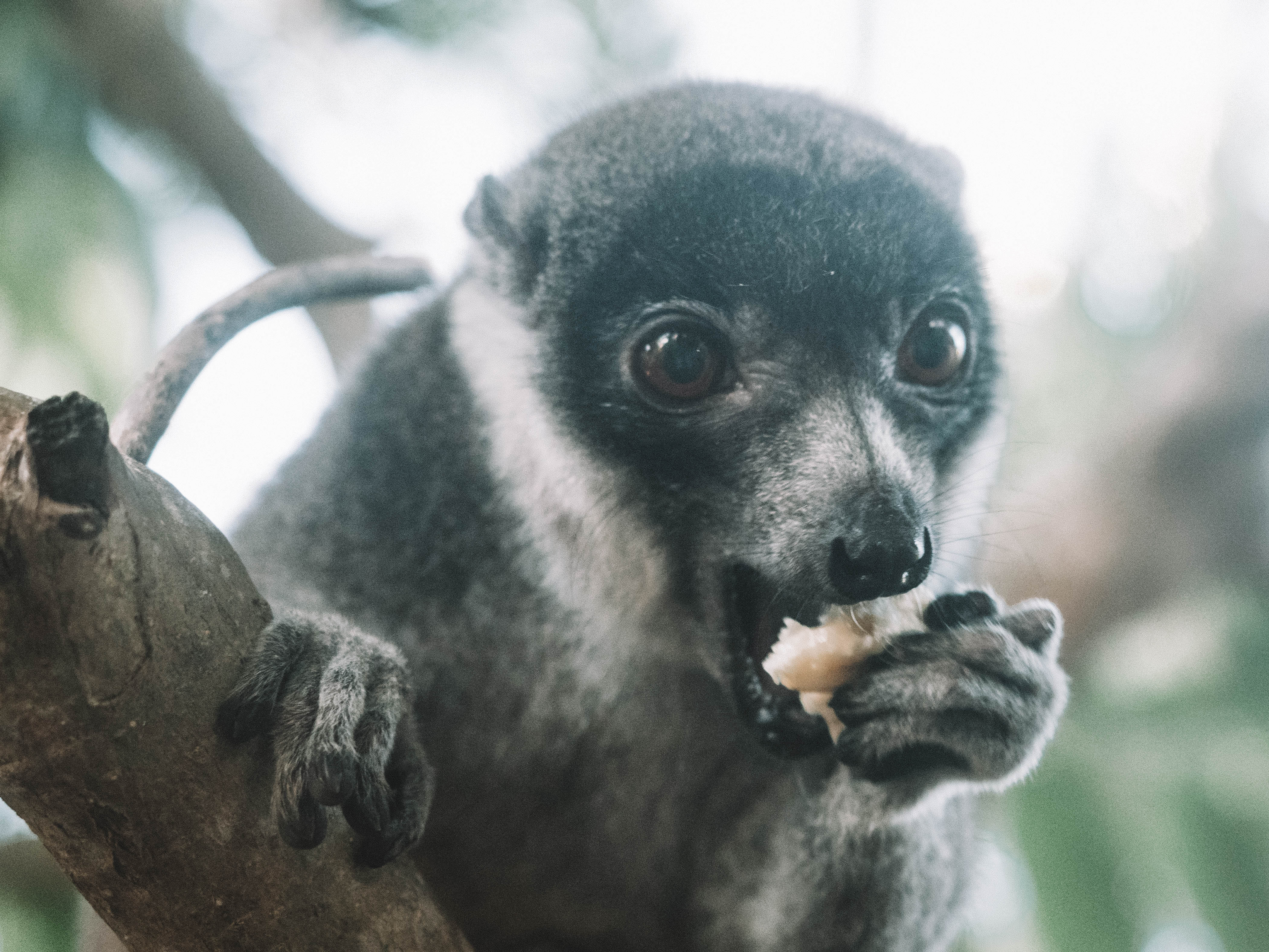 comoros-moheli-travel-blog-laka-lodge-scuba-diving-backpacking-travelling-the-world-solo