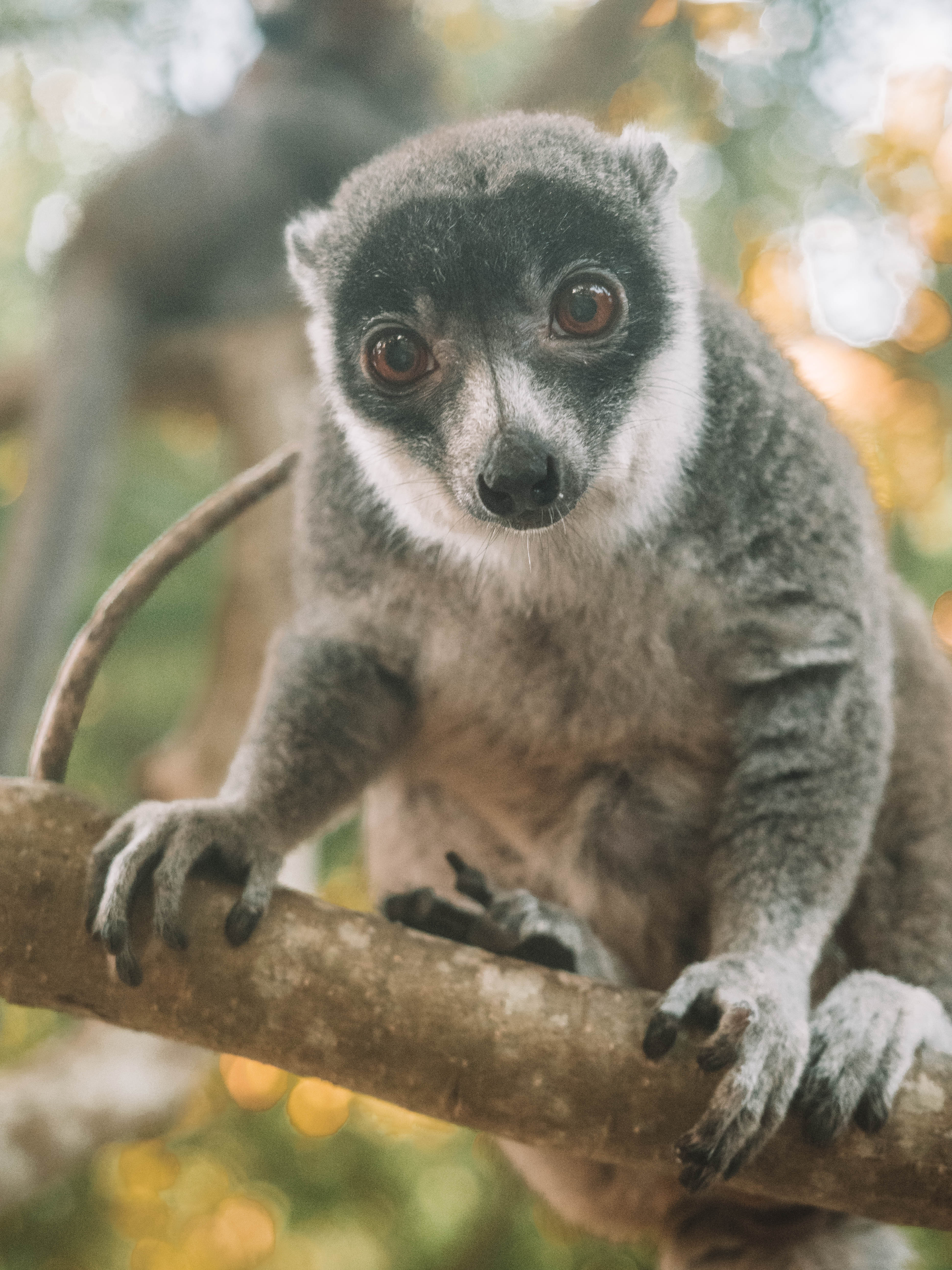 comoros-moheli-travel-blog-laka-lodge-scuba-diving-backpacking-travelling-the-world-solo