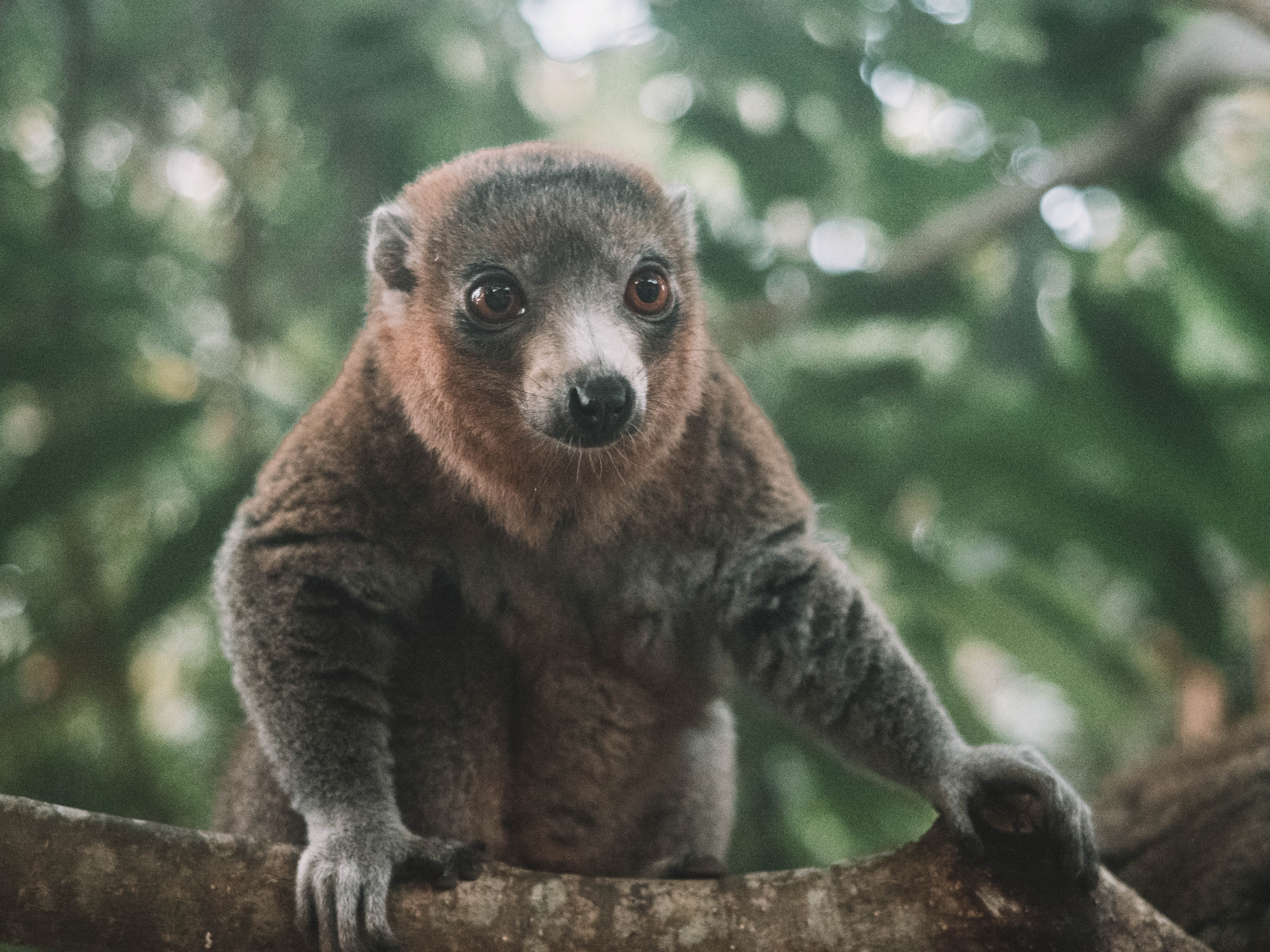 comoros-moheli-travel-blog-laka-lodge-scuba-diving-backpacking-travelling-the-world-solo