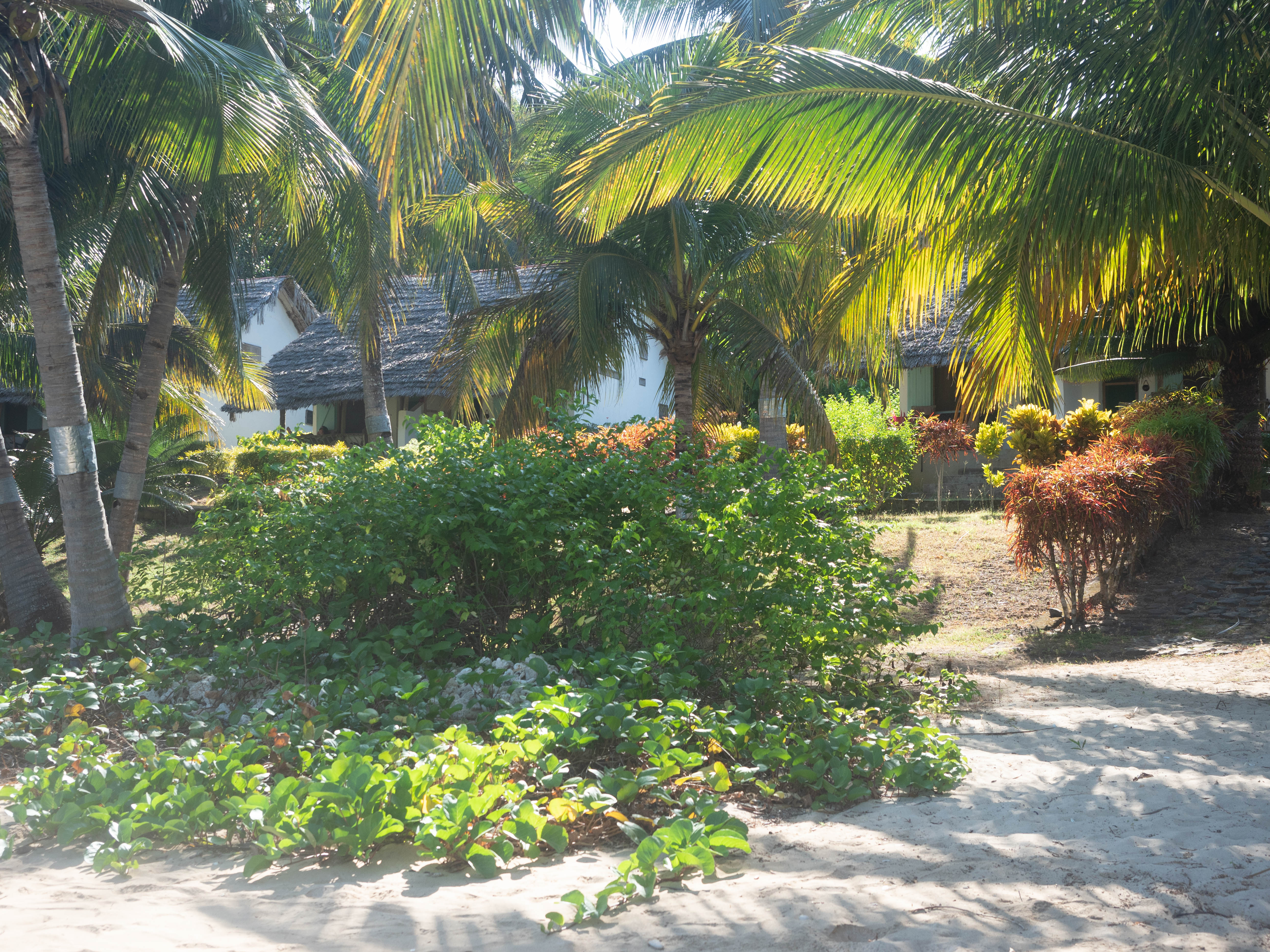 comoros-moheli-travel-blog-laka-lodge-scuba-diving-backpacking-travelling-the-world-solo