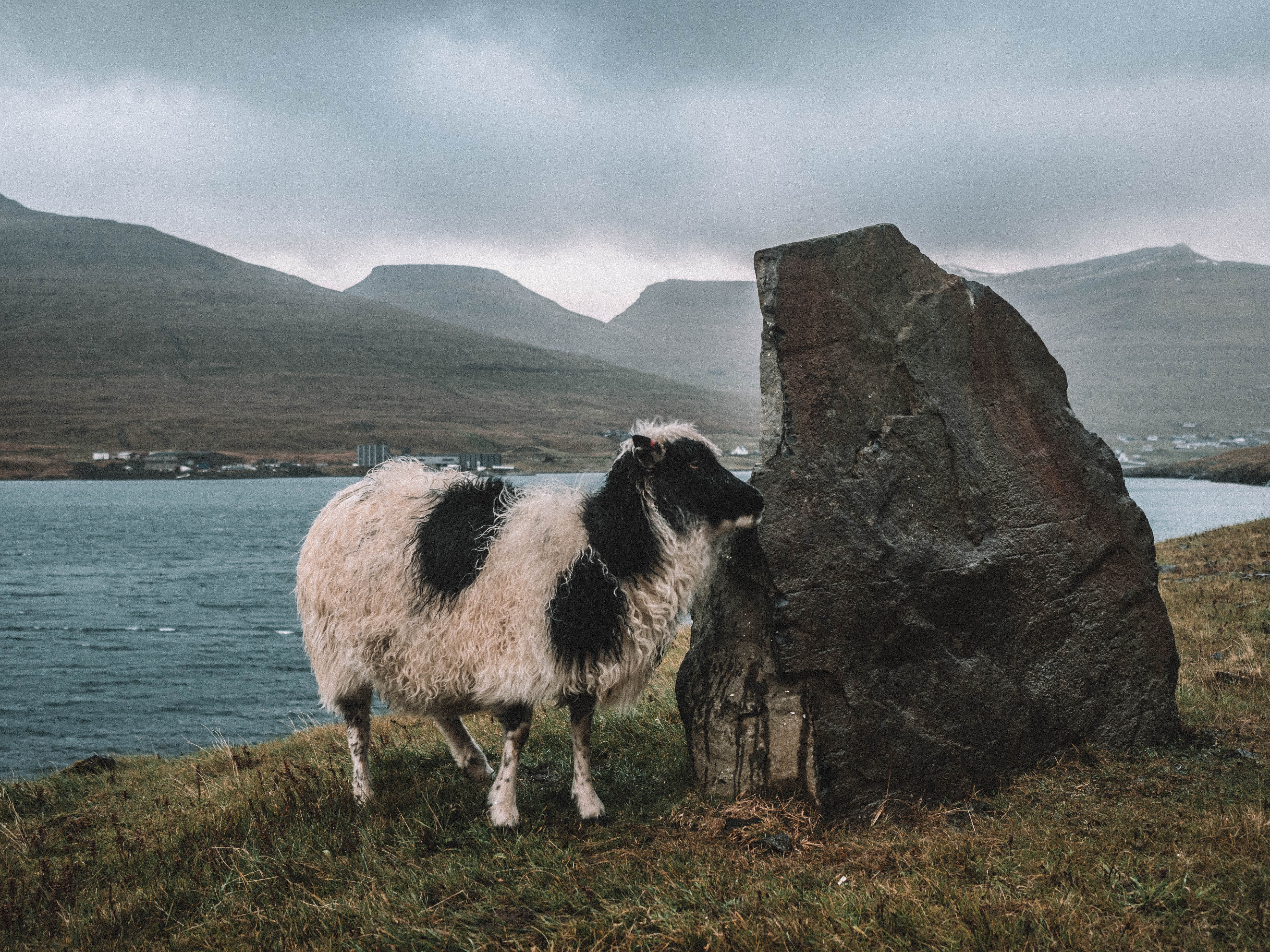 faroe-islands-travel-blog-road-trip-travelling-the-world-solo
