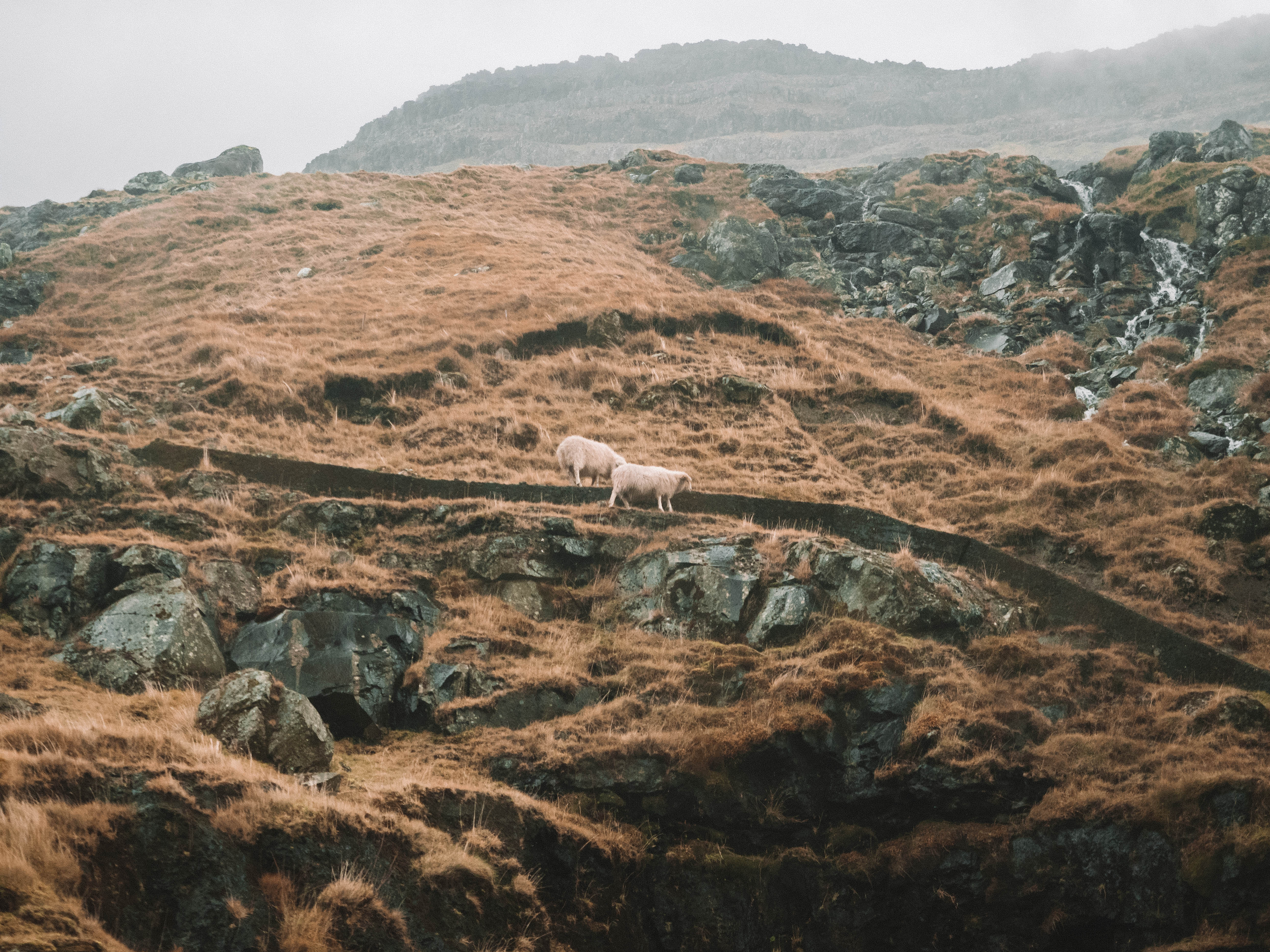 faroe-islands-travel-blog-road-trip-travelling-the-world-solo