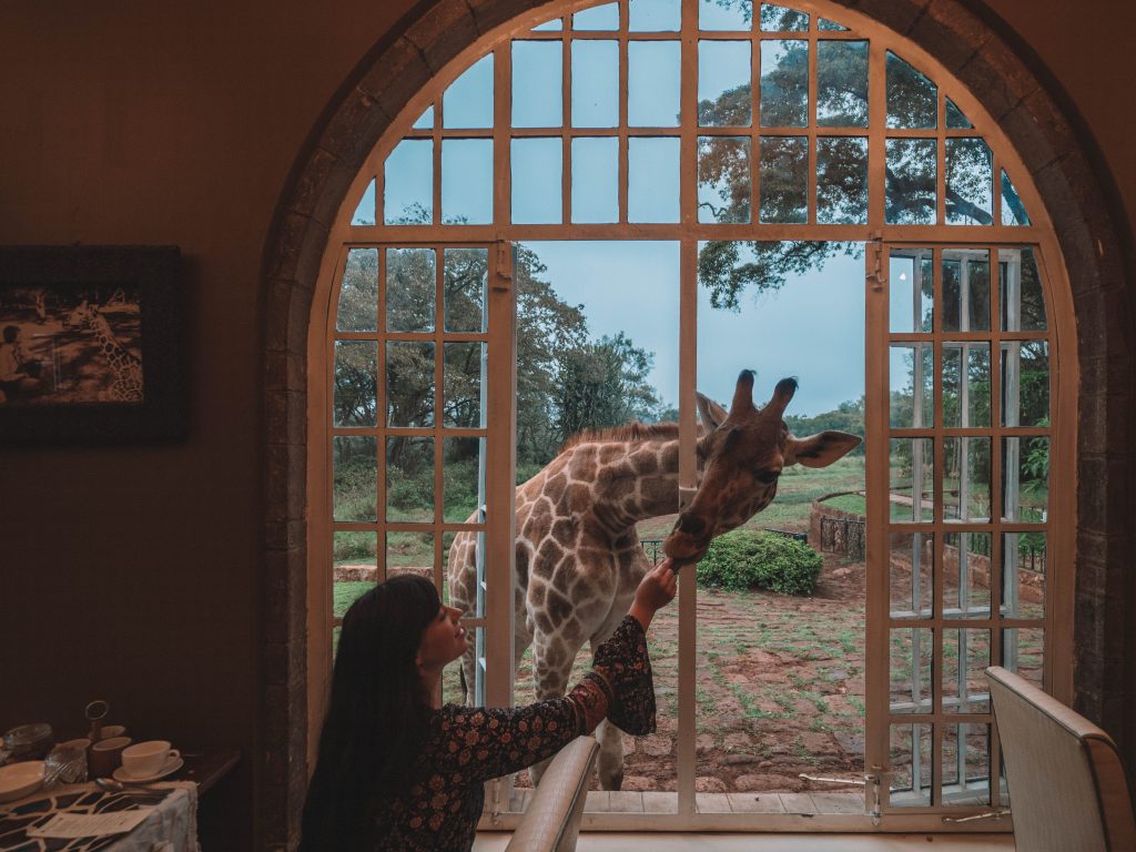 giraffe-manor-travel-blog-nairobi-kenya-solo-travelling-the-world