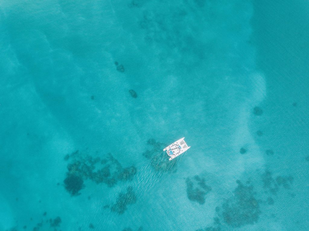 tonga-ha'apai-swimming-humpback-whales-with-sea-change-what-its-like-travel-blog