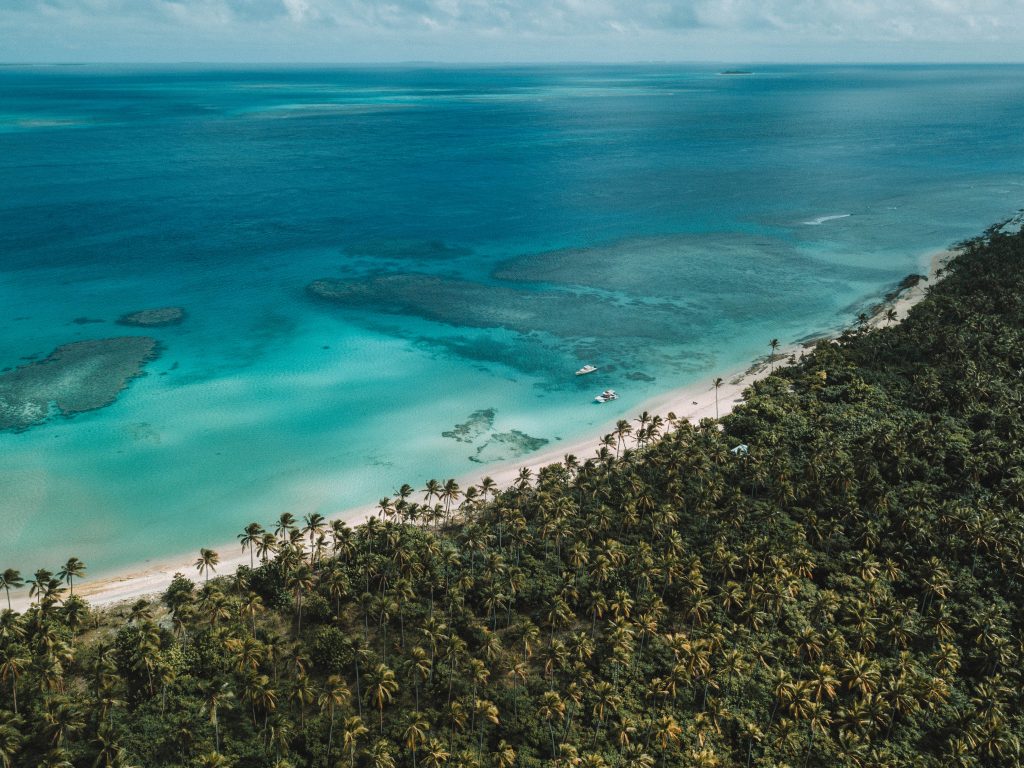 tonga-ha'apai-swimming-humpback-whales-with-sea-change-what-its-like-travel-blog