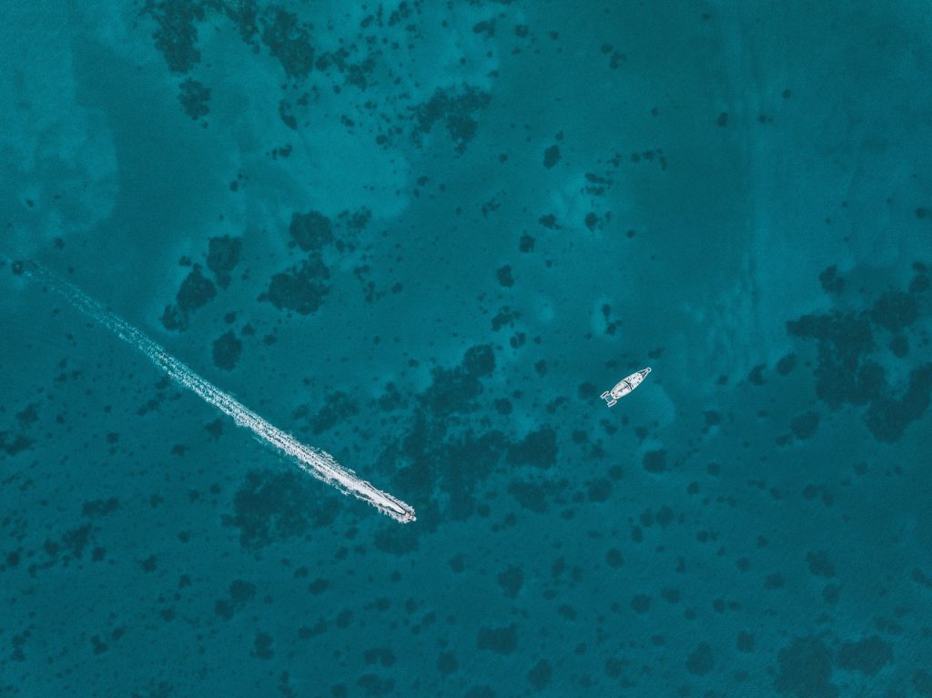 tonga-ha'apai-swimming-humpback-whales-with-sea-change-what-its-like-travel-blog