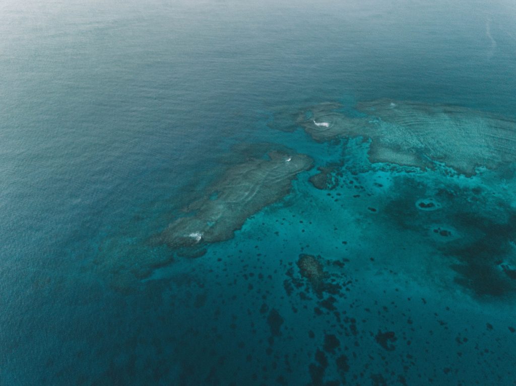 tonga-ha'apai-swimming-humpback-whales-with-sea-change-what-its-like-travel-blog