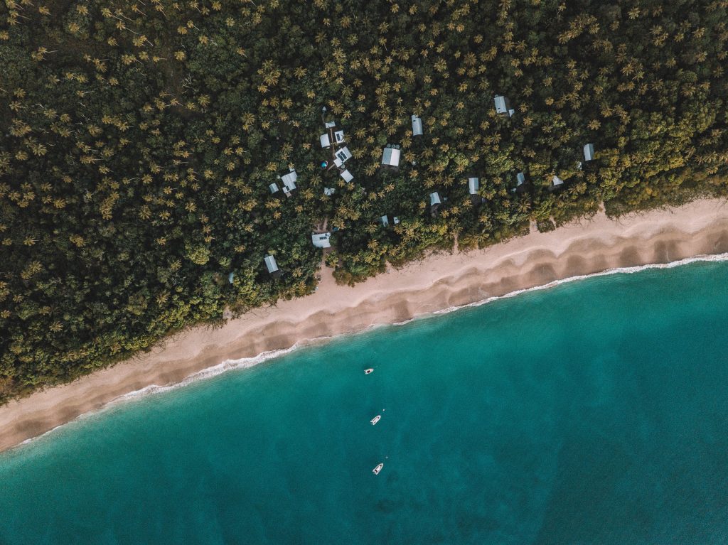 tonga-ha'apai-swimming-humpback-whales-with-sea-change-what-its-like-travel-blog