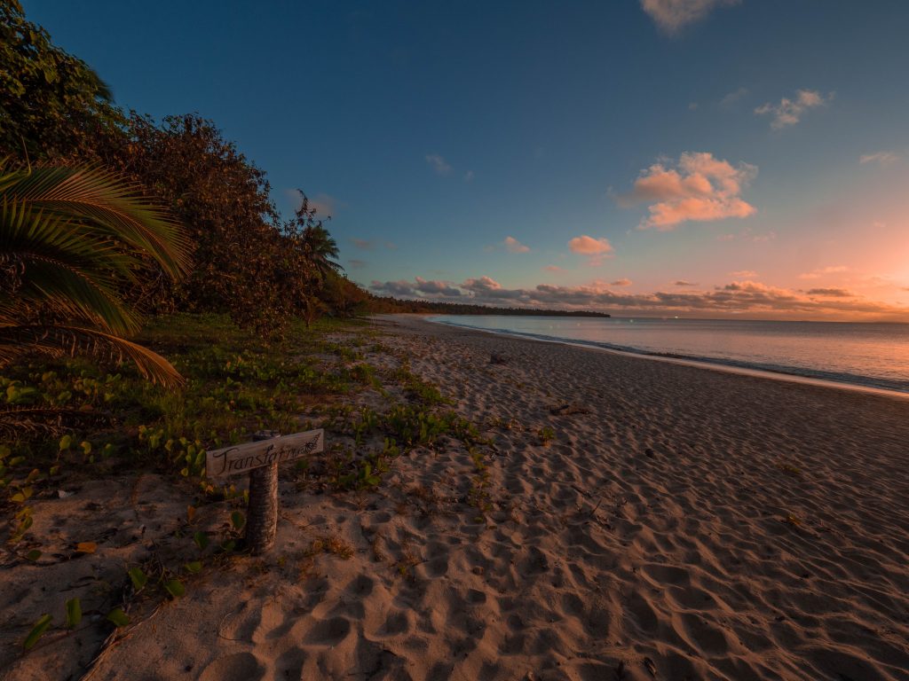 tonga-ha'apai-swimming-humpback-whales-with-sea-change-what-its-like-travel-blog