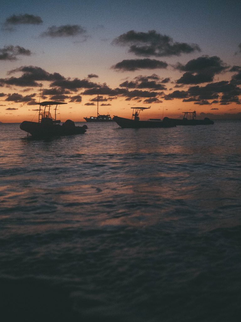 tonga-ha'apai-swimming-humpback-whales-with-sea-change-what-its-like-travel-blog