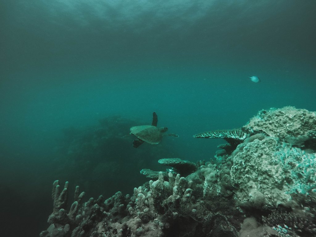 Time-Tide-Miavana-Travel-Blog-Nosy-Ankao-Madagascar-Blue-Safari-Luxury