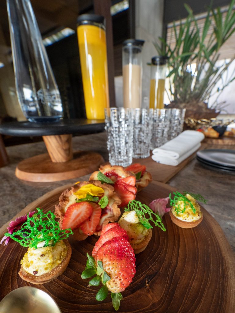 Cheetah-Plains-Travel-Blog-Sabi-Sands-South-Africa-Safari-Luxury