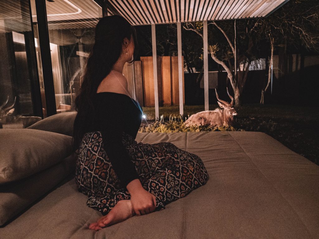 Cheetah-Plains-Travel-Blog-Sabi-Sands-South-Africa-Safari-Luxury