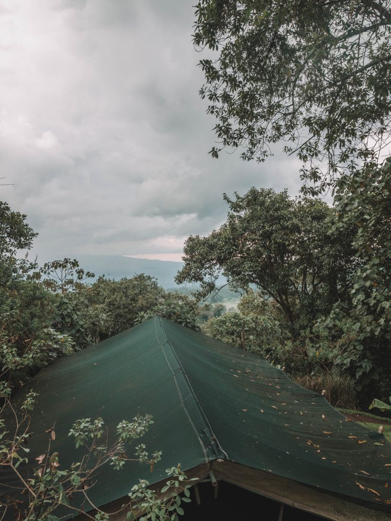 Virunga-Gorillas-Travel-Blog-National-Park-Democratic-Republic-of-Congo-DRC